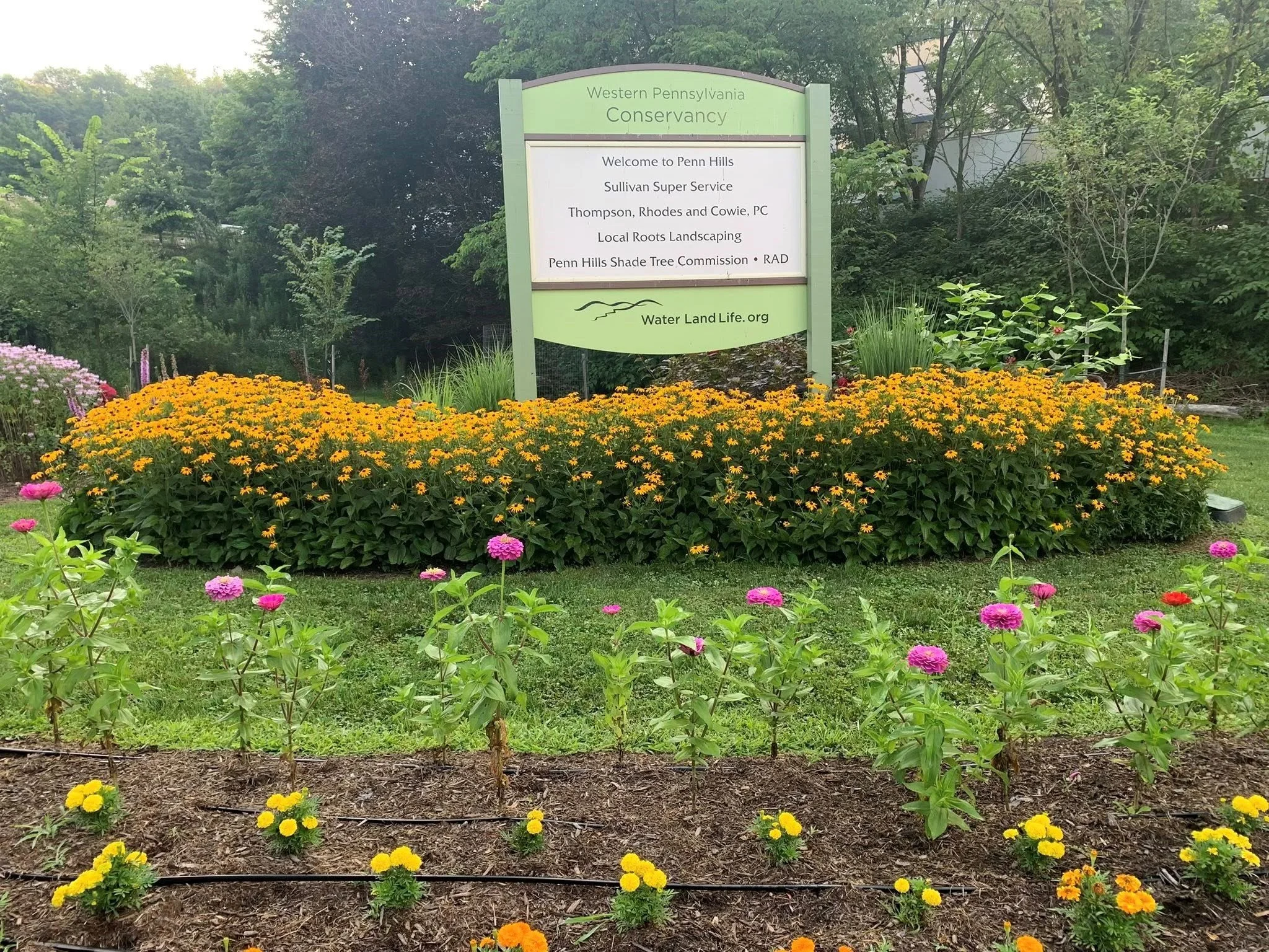 Rodi Road Garden - May 9, 2026