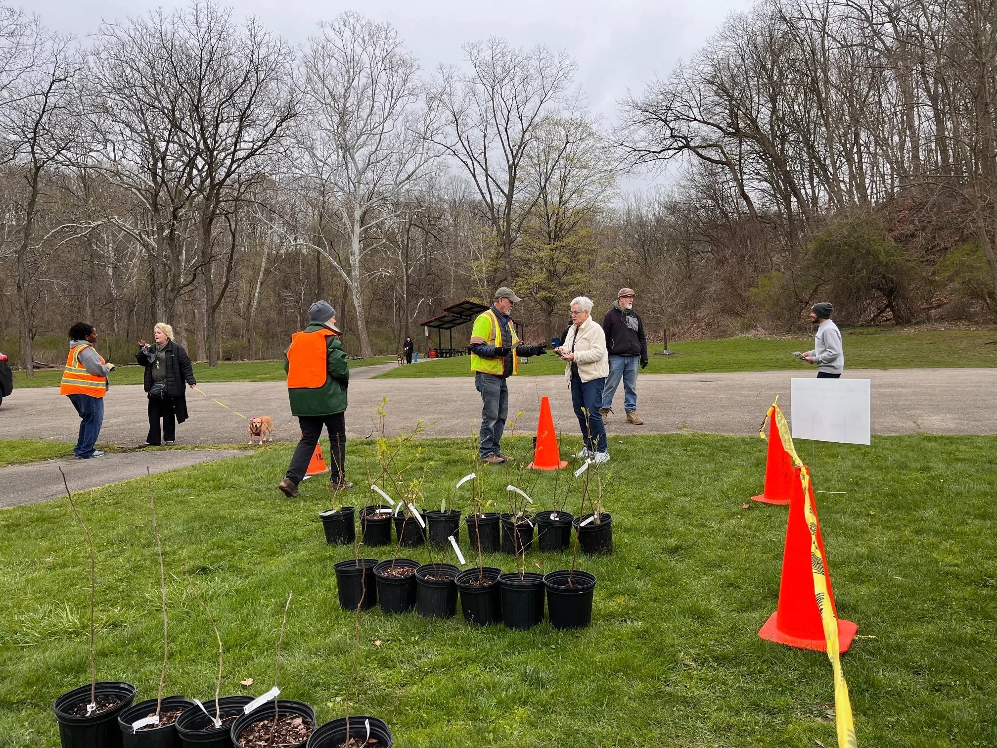 Penn Hills Free Tree Adoption