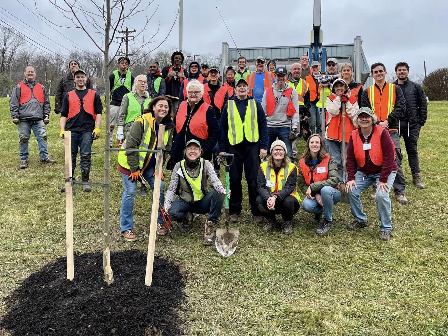 PHSTC_TreeVitalize_Rodi_Rd_Tree Planting_111222.jpg