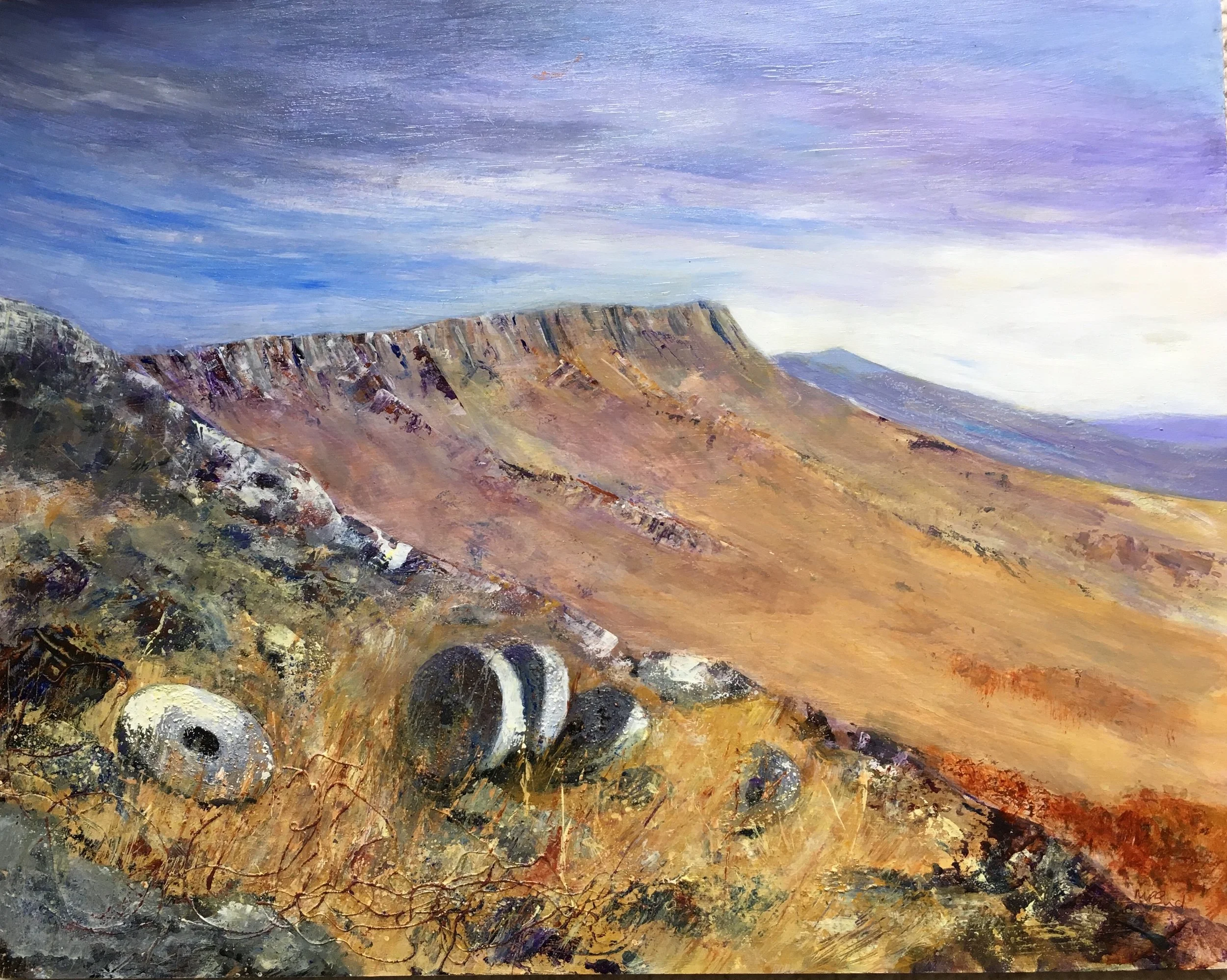 Stanage_edge_millstones