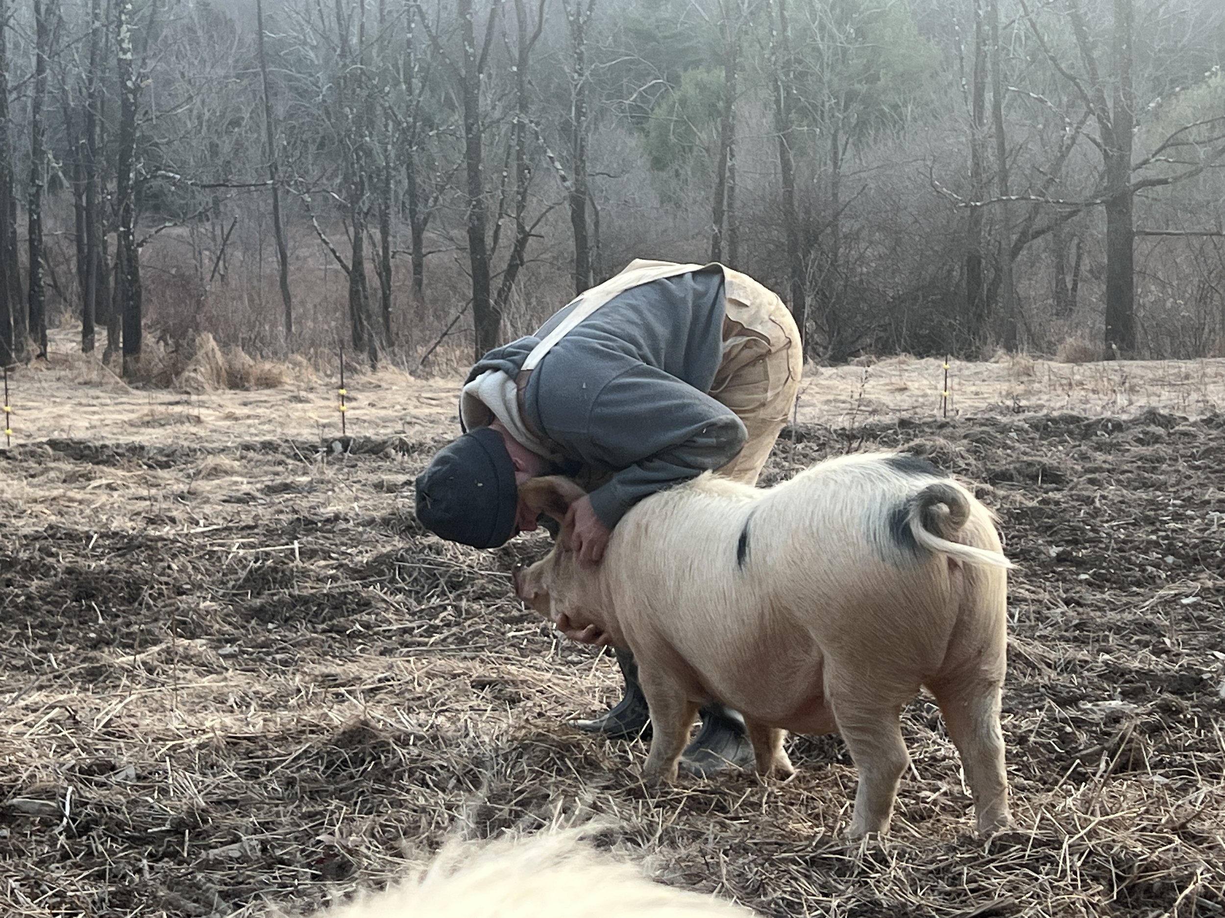 Karl giving Rosie some pets... she loves him & them the most!