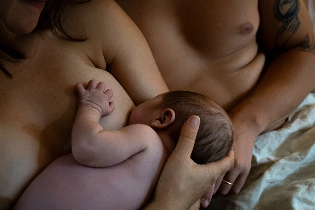 Newborn - Portland, Maine 9-6-2025-4260.jpg
