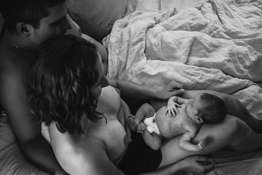 Newborn - Portland, Maine 9-6-2025-4341.jpg