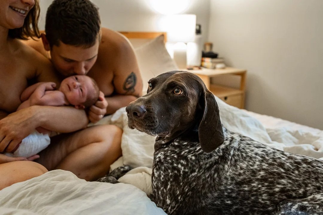 Newborn - Portland, Maine 9-6-2025-4417.jpg