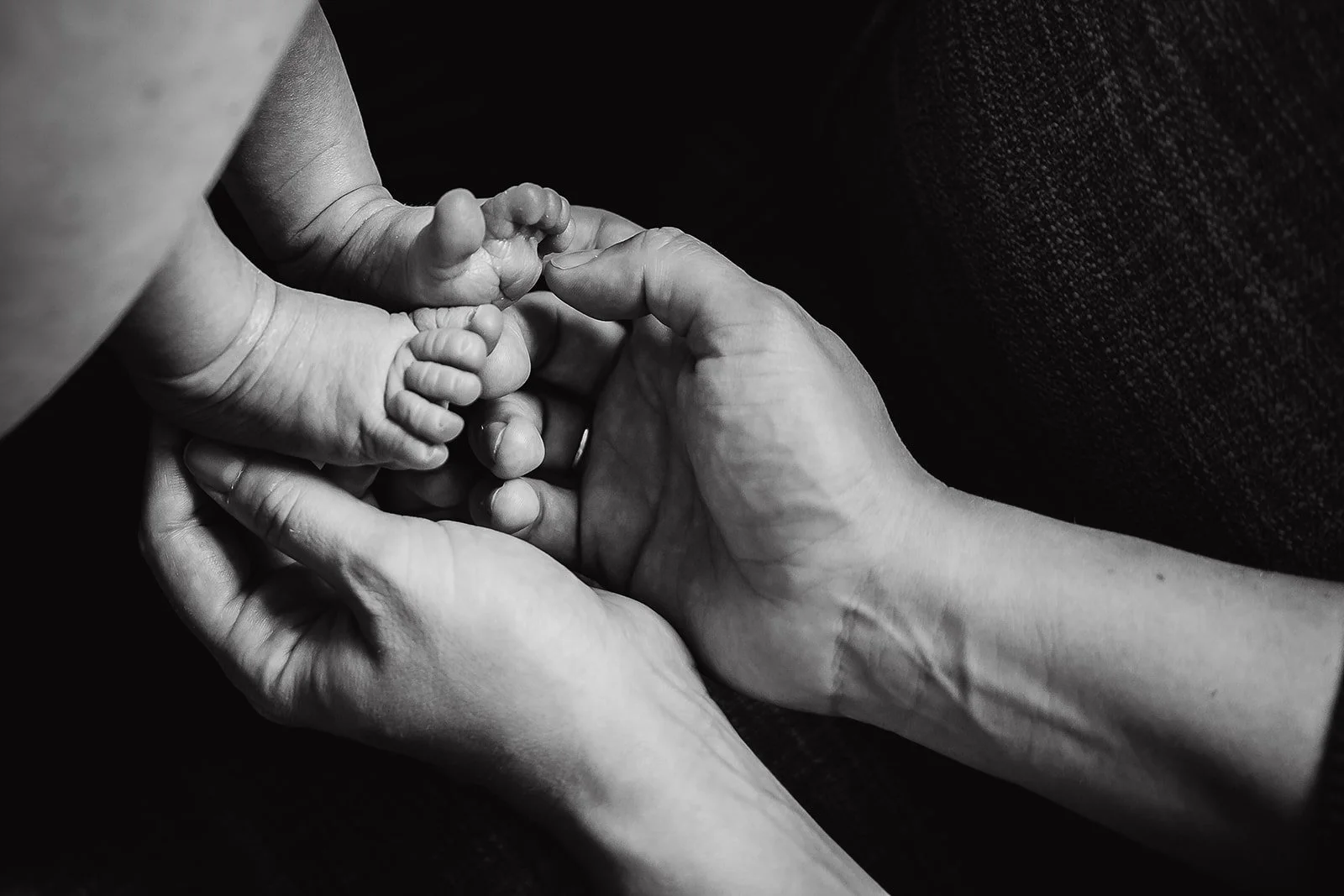 FionaSchubeckPhotography-4450.jpg