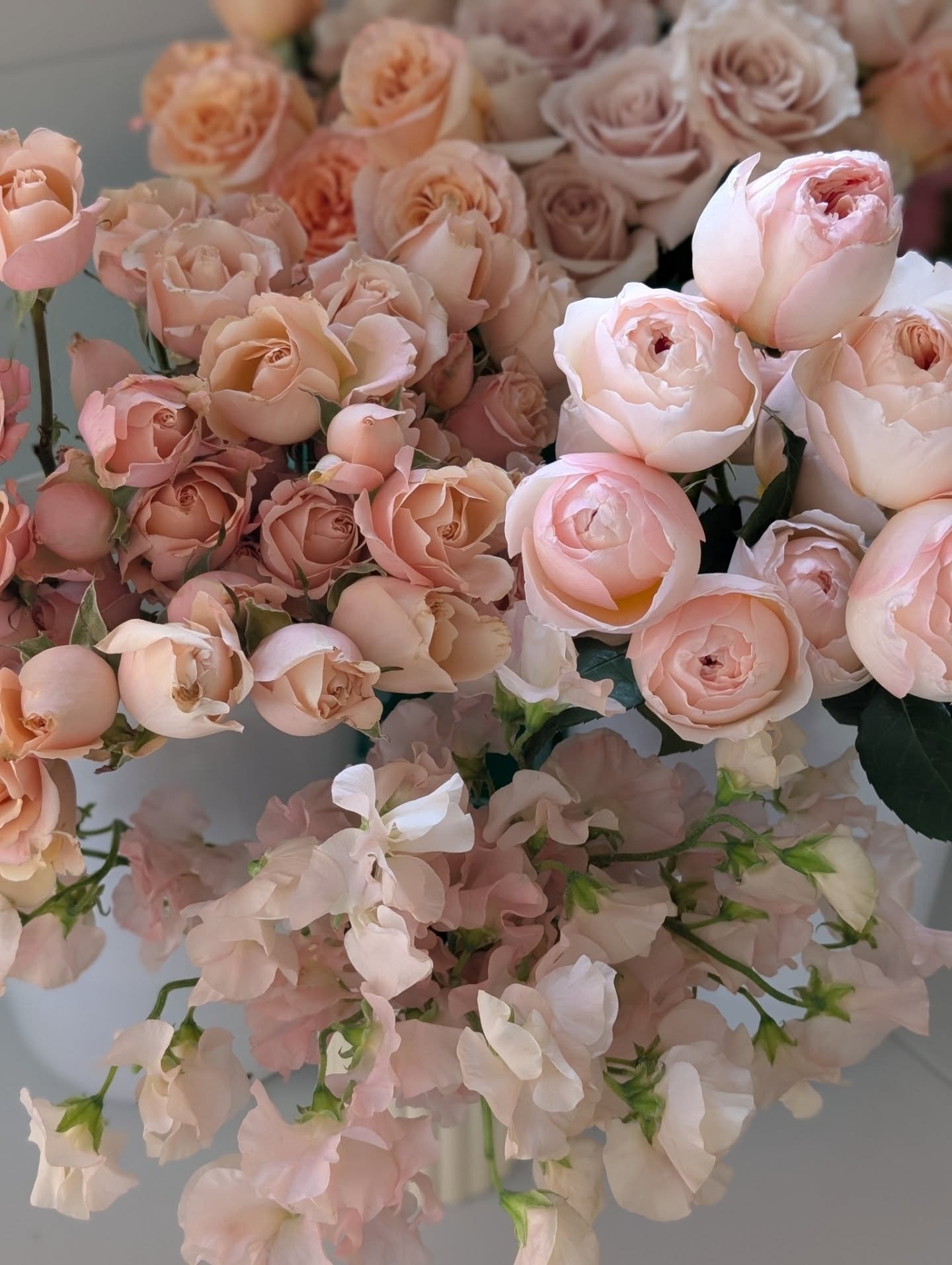 It's about to get pretty and peachy over here.

Very excited to share more of Deanna's gorgeous bridal shower. 🩷🧡💛