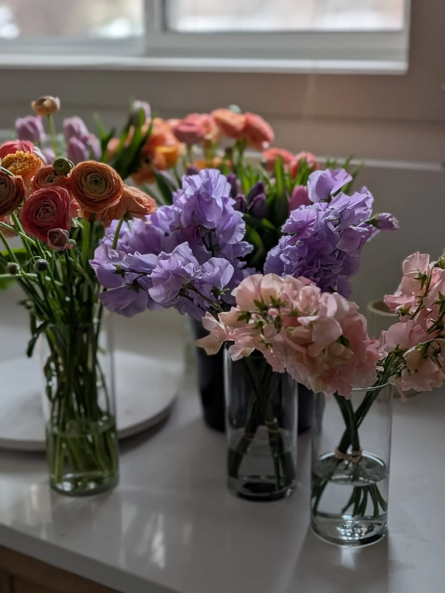 Did you know, each and every stem of your flowers have been planned, processed, conditioned, handled(3-4x) and timed so they are at their peak state for your wedding day?

It takes a solid plan, mental juggling, creative pivots, physical labour, tigh