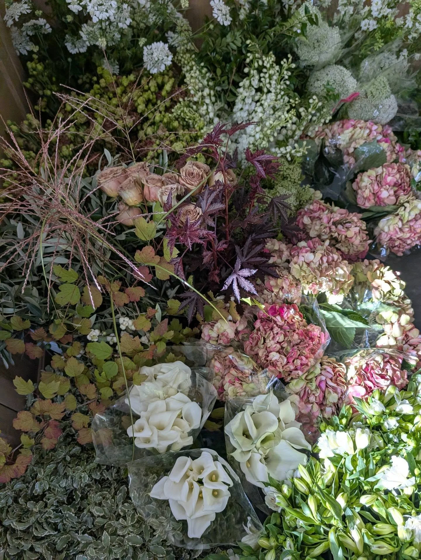 BTS with this perfect earthy-neutral floral palette. 🤎

The original inspiration for this wedding was full of jewel-toned colour, but something wasn't sitting quite right. My client kept coming back to creamy whites, olive greens, and warm browns &m