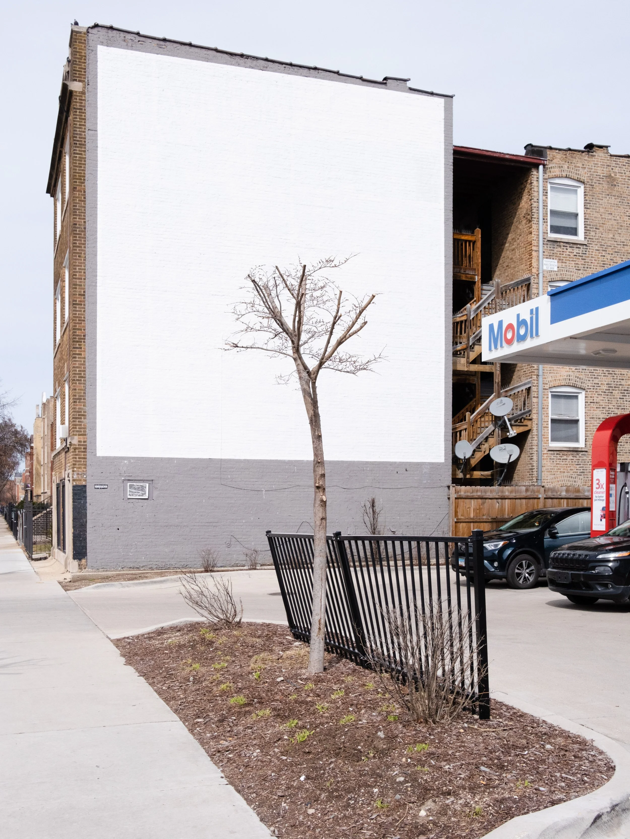 A small urban lot with a tree, a black metal fence, and surrounding sidewalk, with buildings and a Mobil gas station in the background.