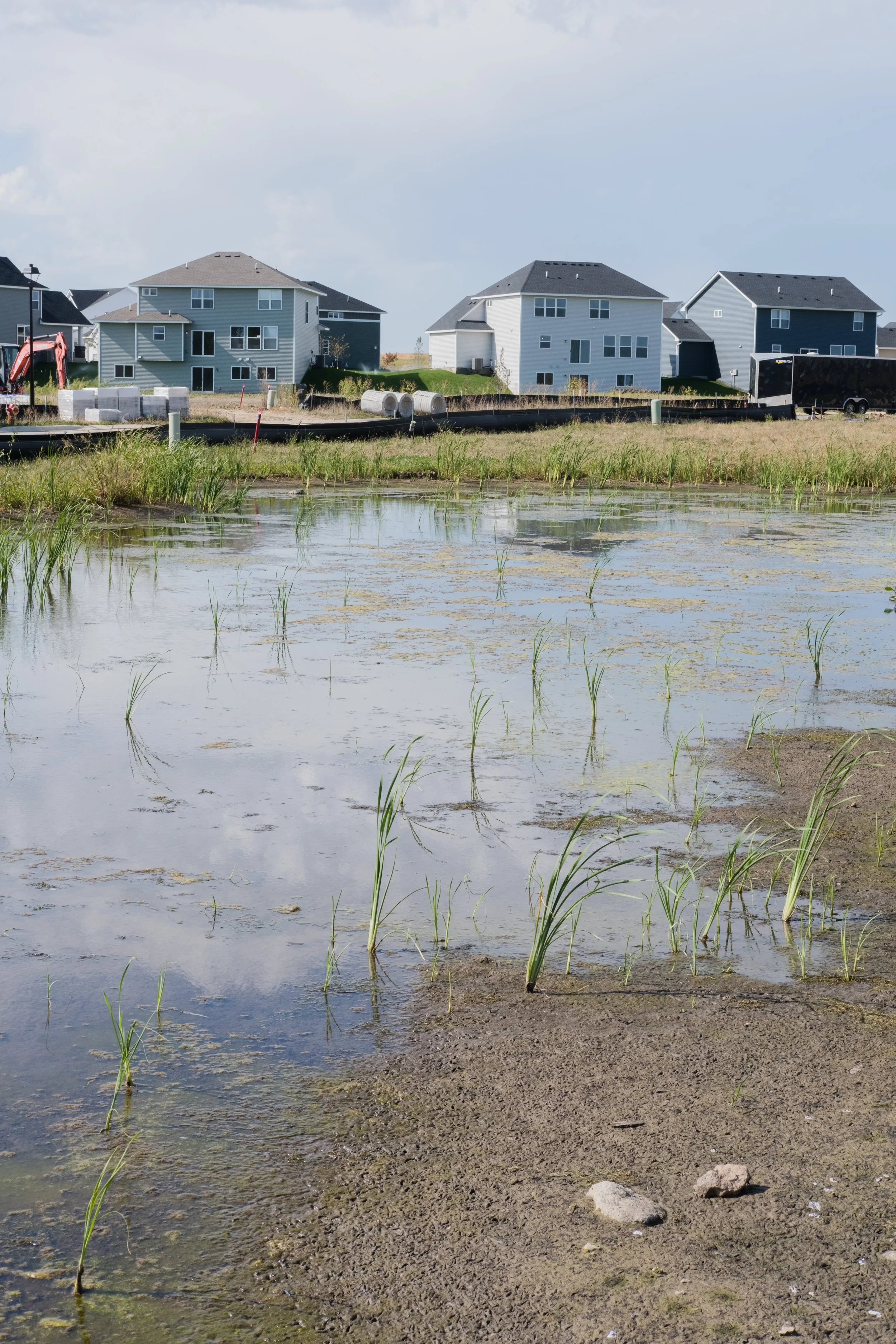 Construction site with residential houses in the background, partially submerged grassy area with water and young plants in the foreground.