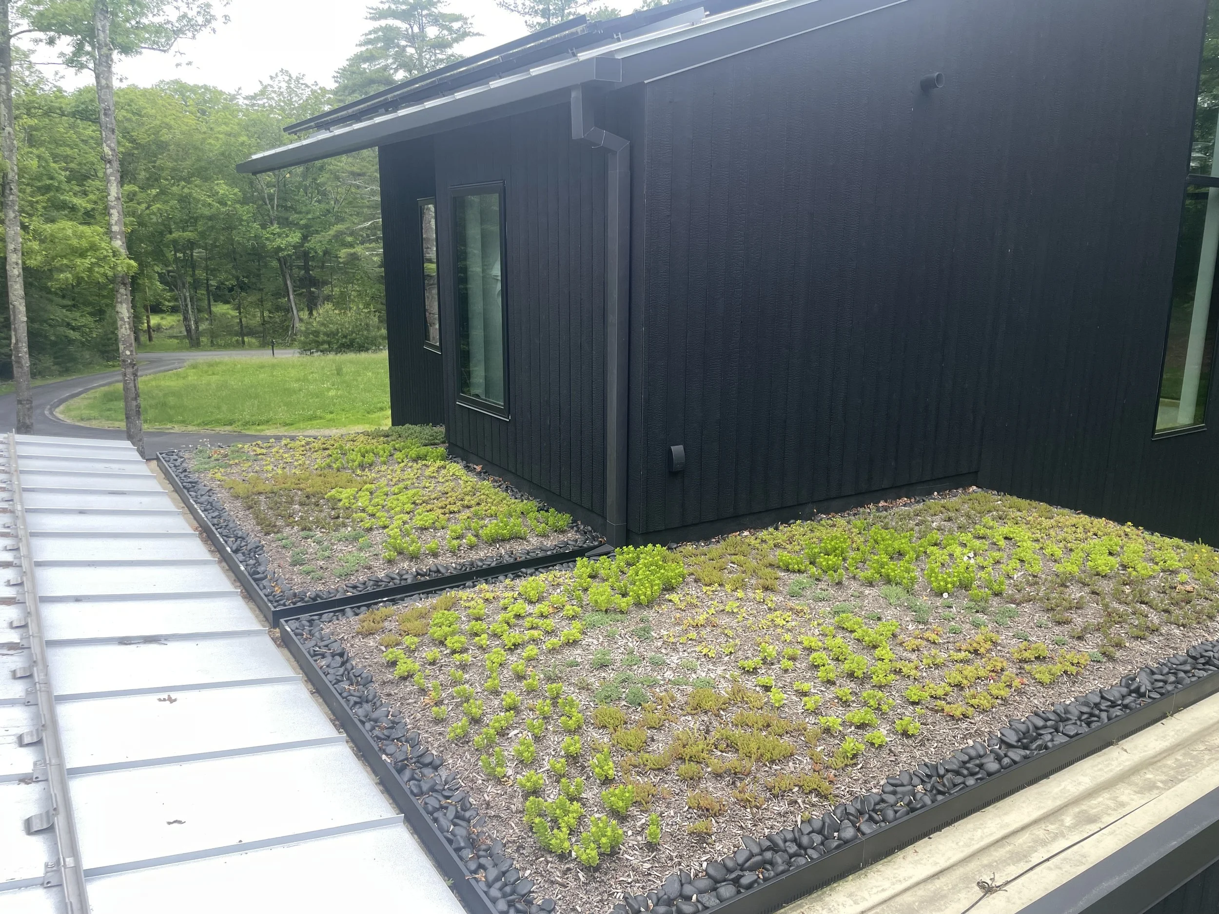 One month into first season