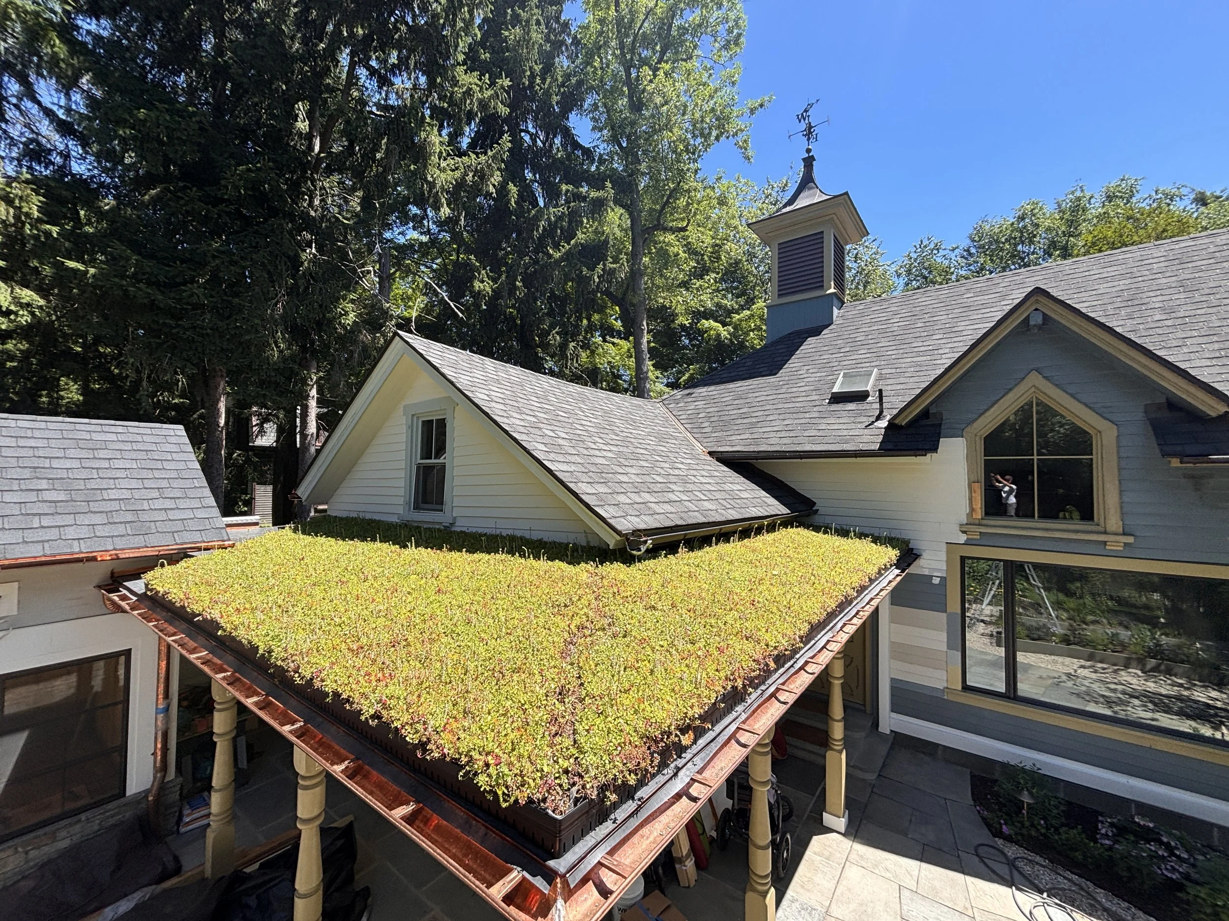 Sedum mix for porch roof