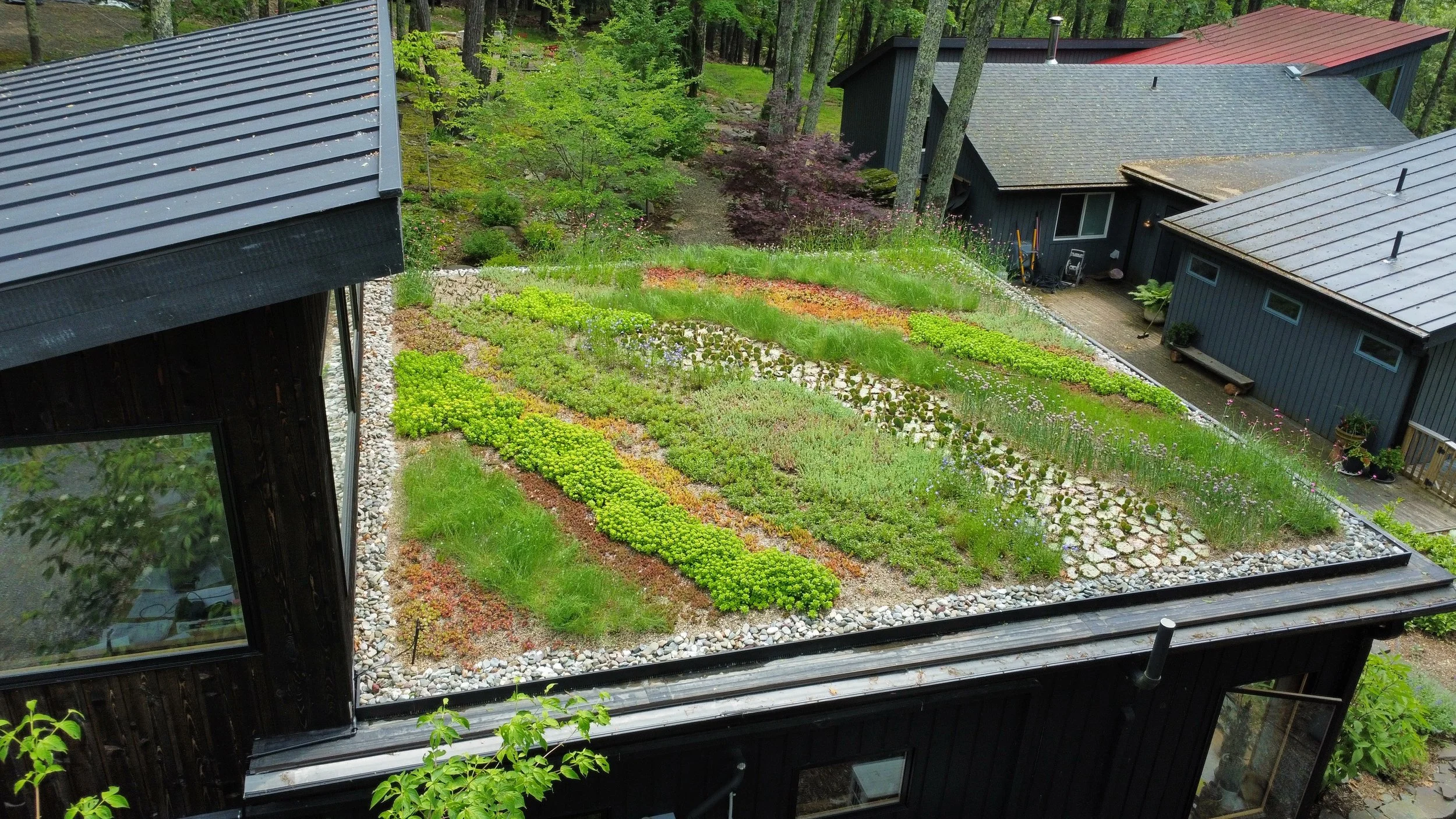 dji_fly_20250611_113642_570_1750003210440_photo_optimized 2.jpeg