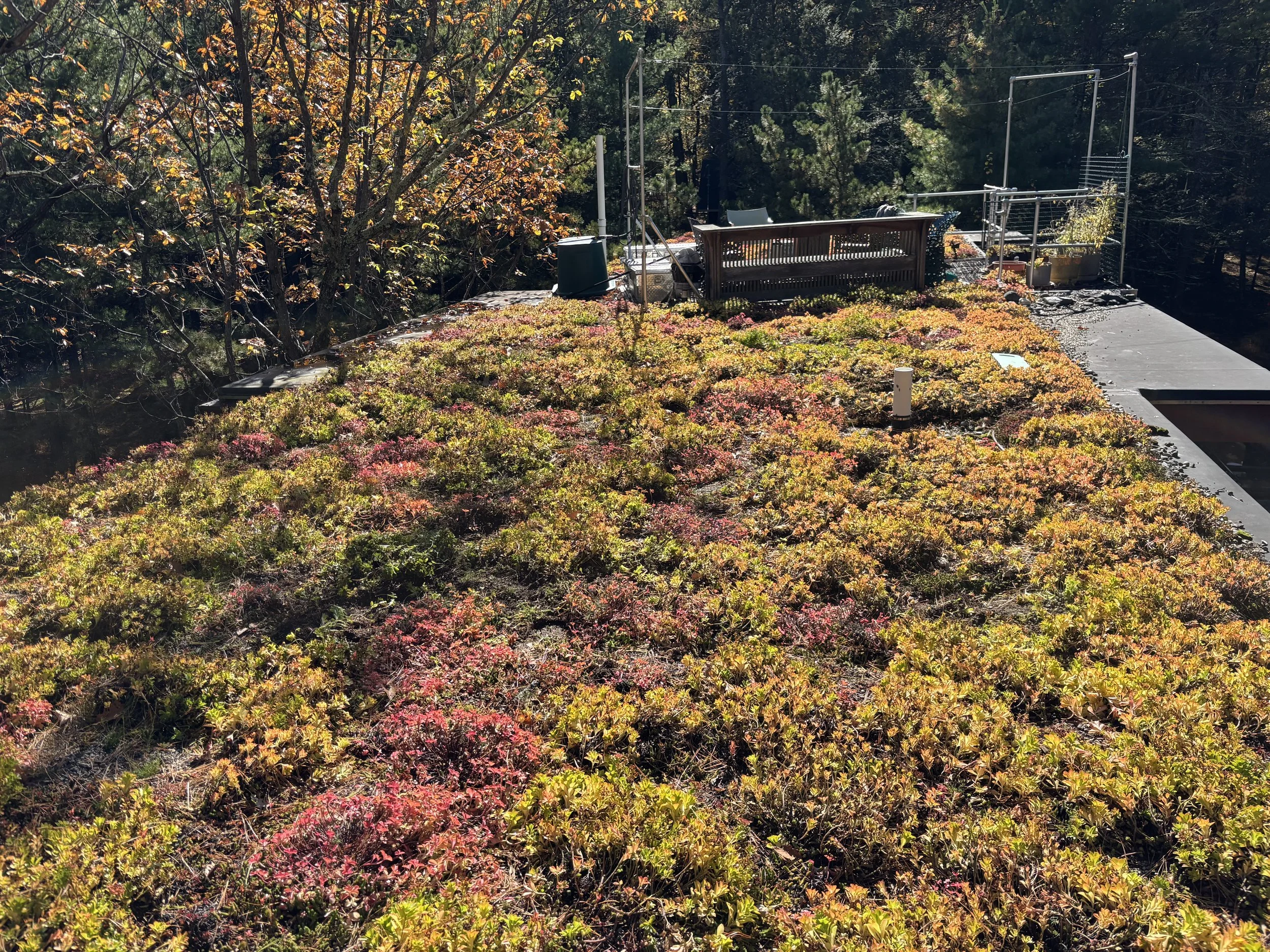 After (later season fall coloring)