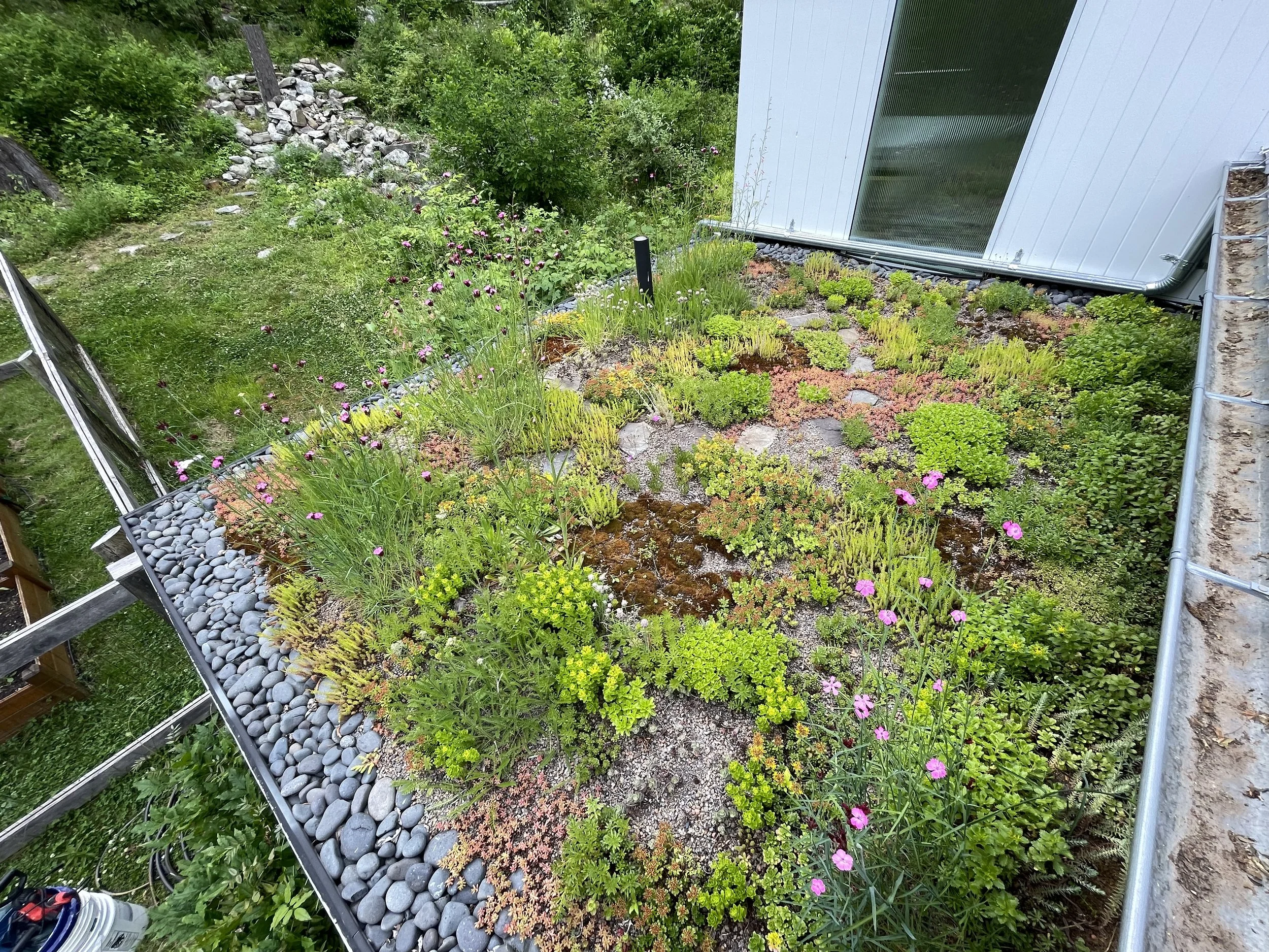 Second season after install