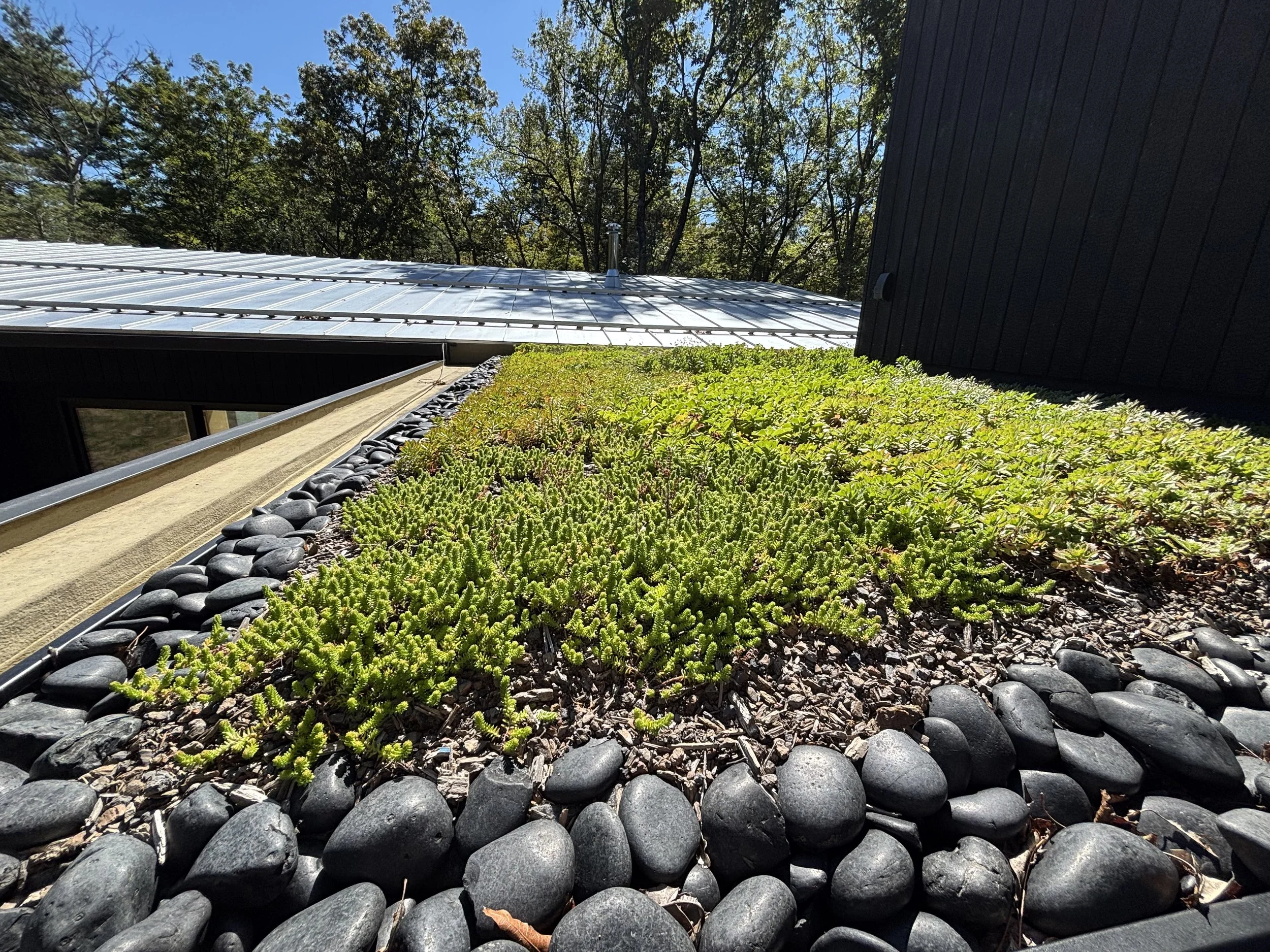 Black river stone border to blend with house, three months into first season