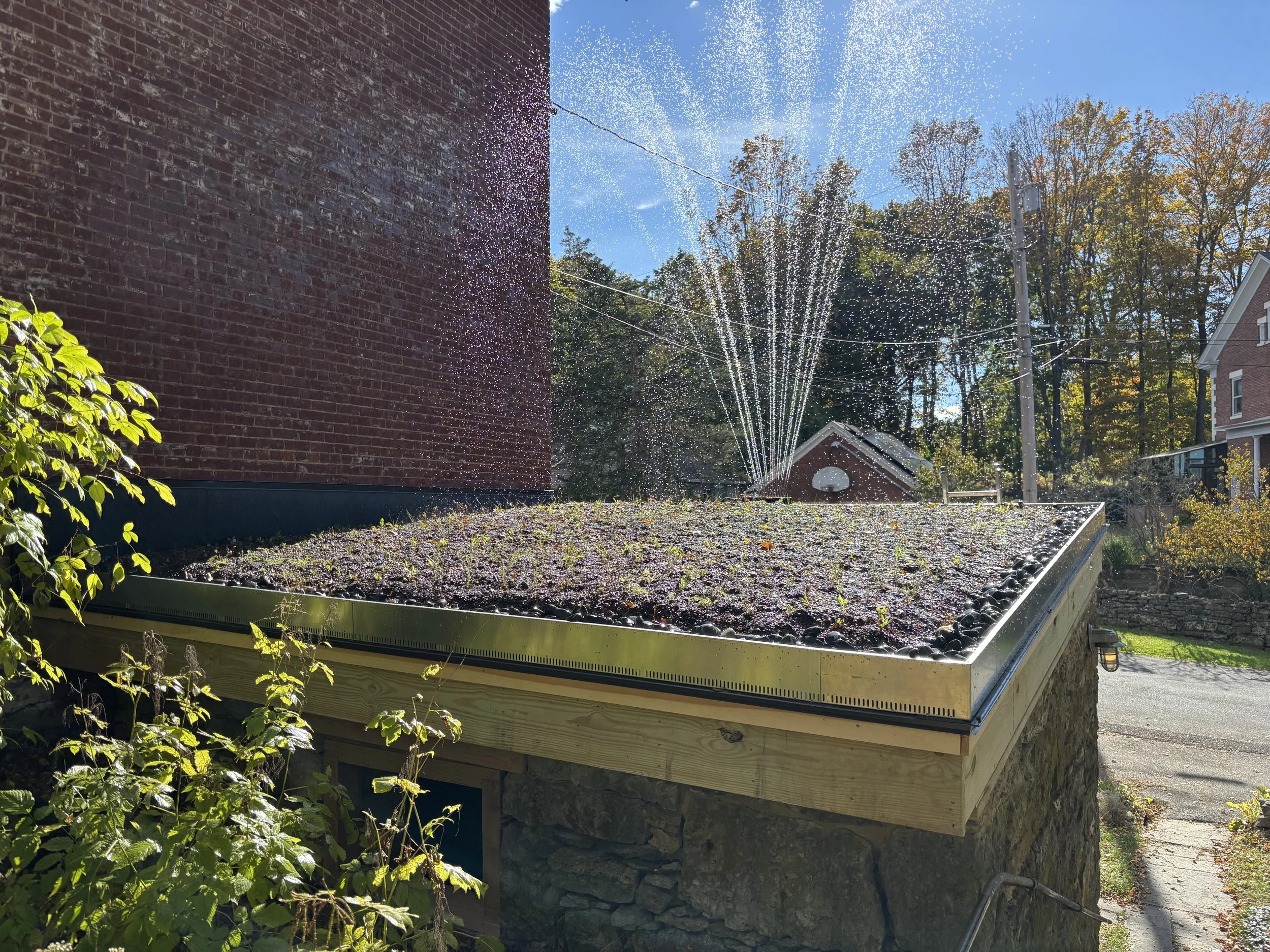 Historic Kingston home (brand new install)