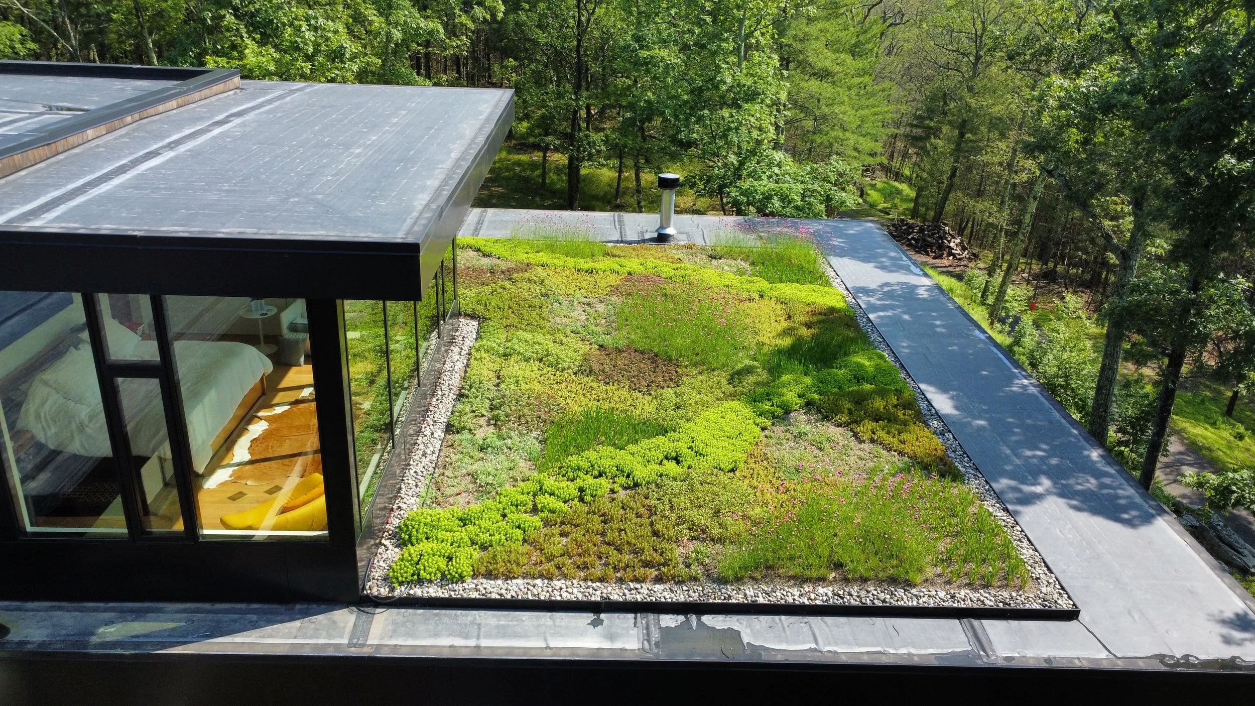 mid summer of first season planted