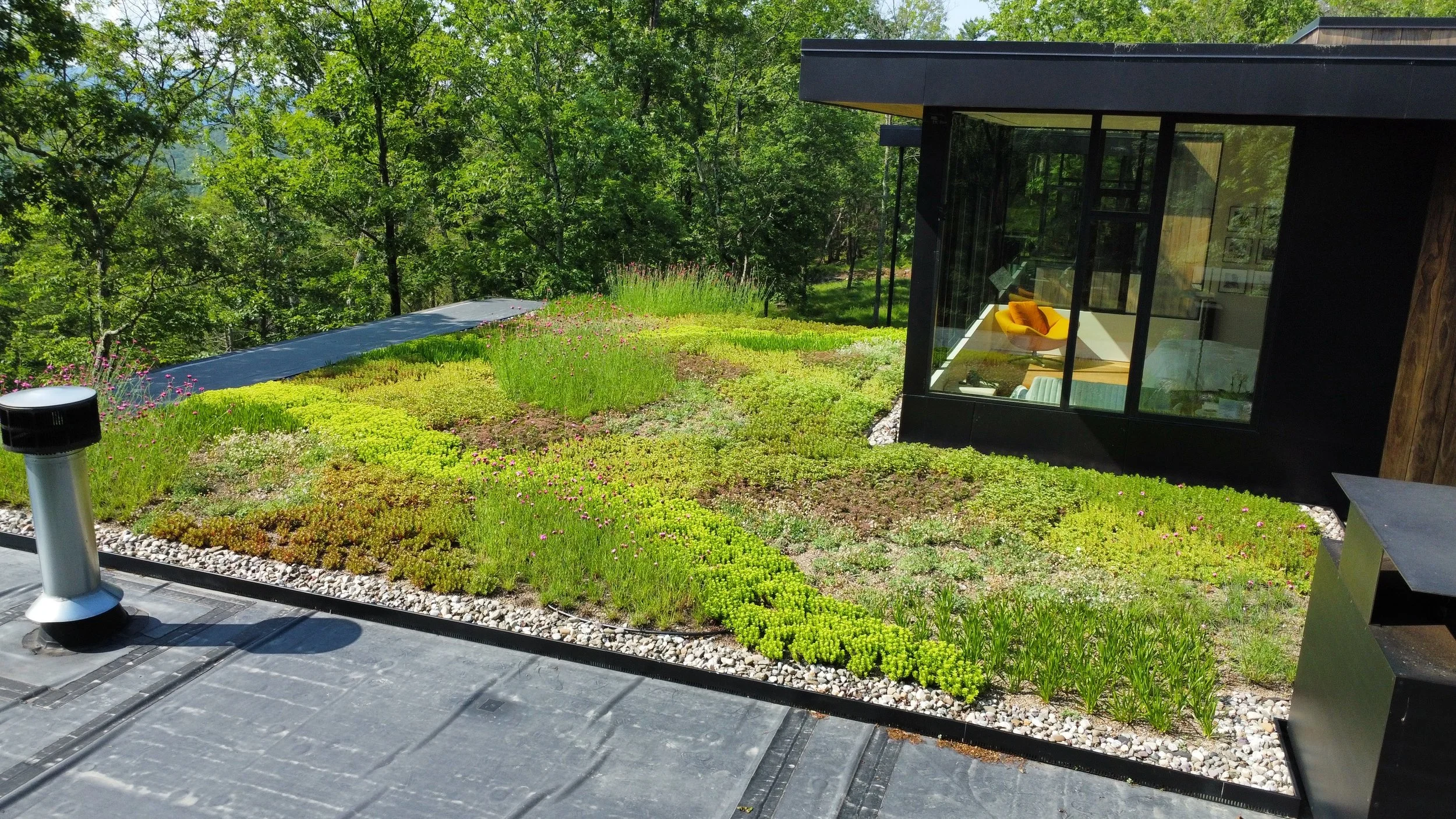 dji_fly_20250610_161258_538_1749586452472_photo_optimized 2.jpeg