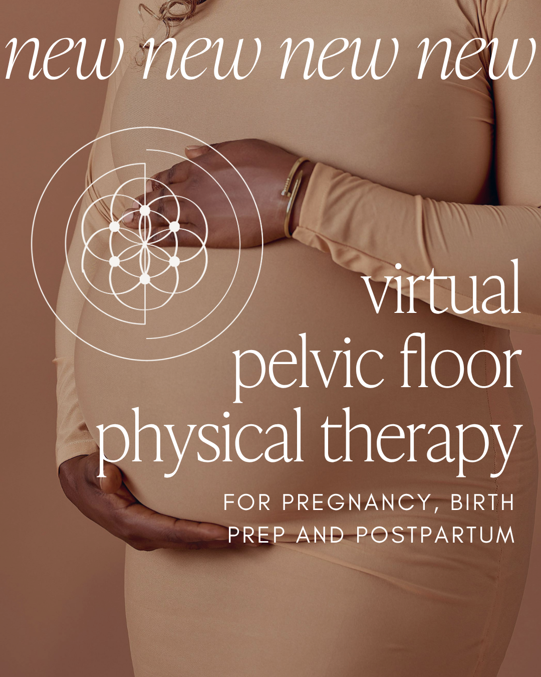 No Commute, No Waiting Room: New Virtual Pelvic Floor PT