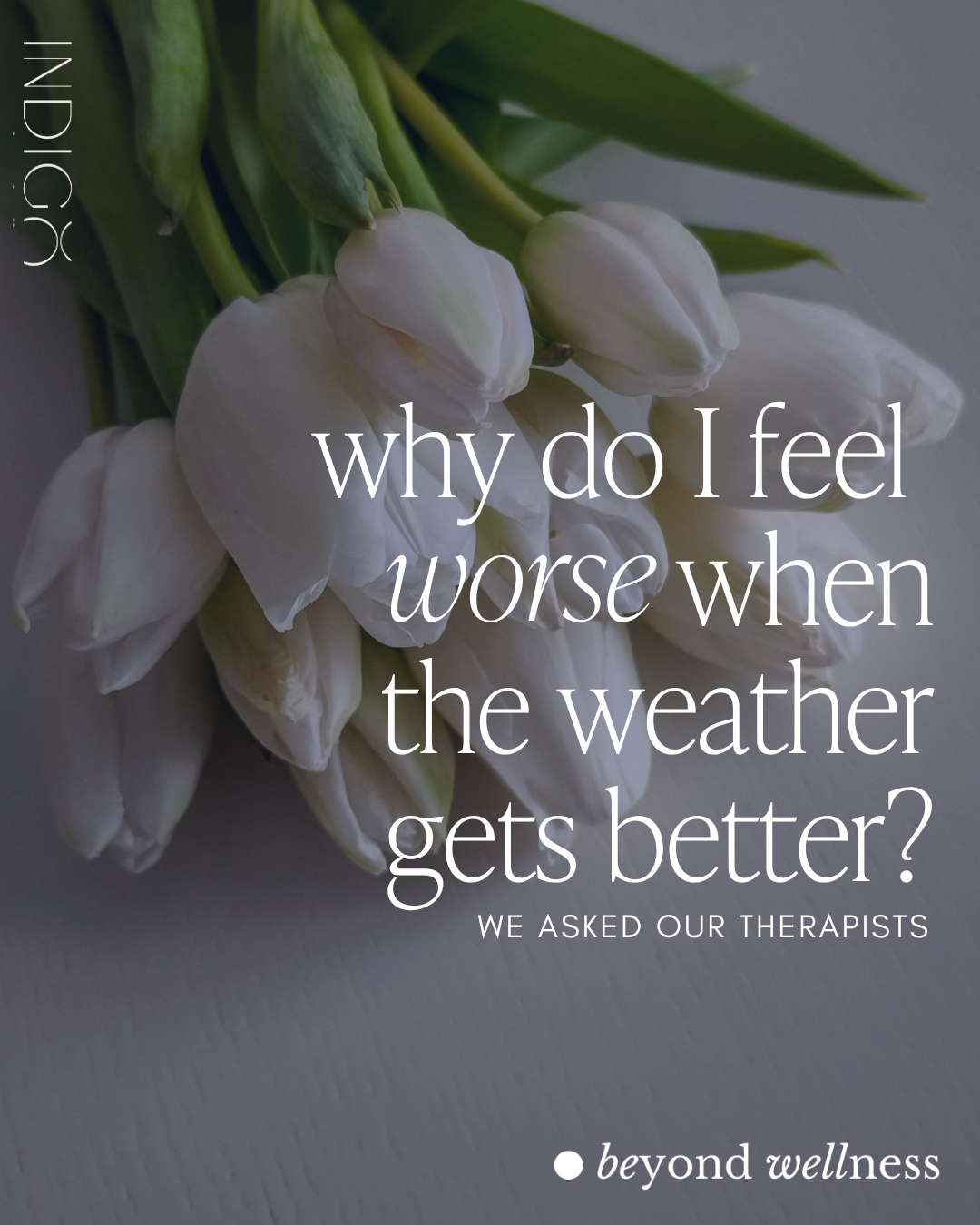“Why do I feel worse when the weather gets better?” We asked our therapists.