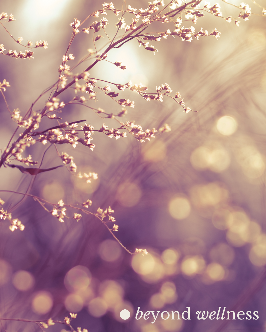 Acupuncture clinic in stamford specializing in fertility