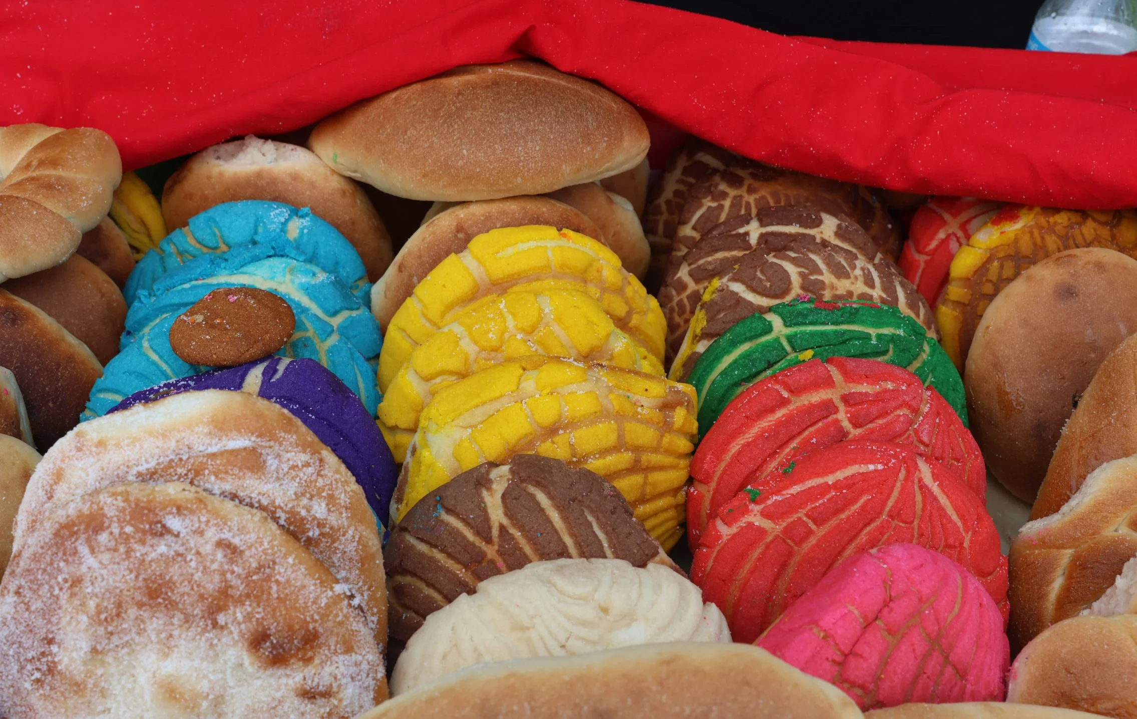 9-20-25_cjb_LatinxFest_381.jpg