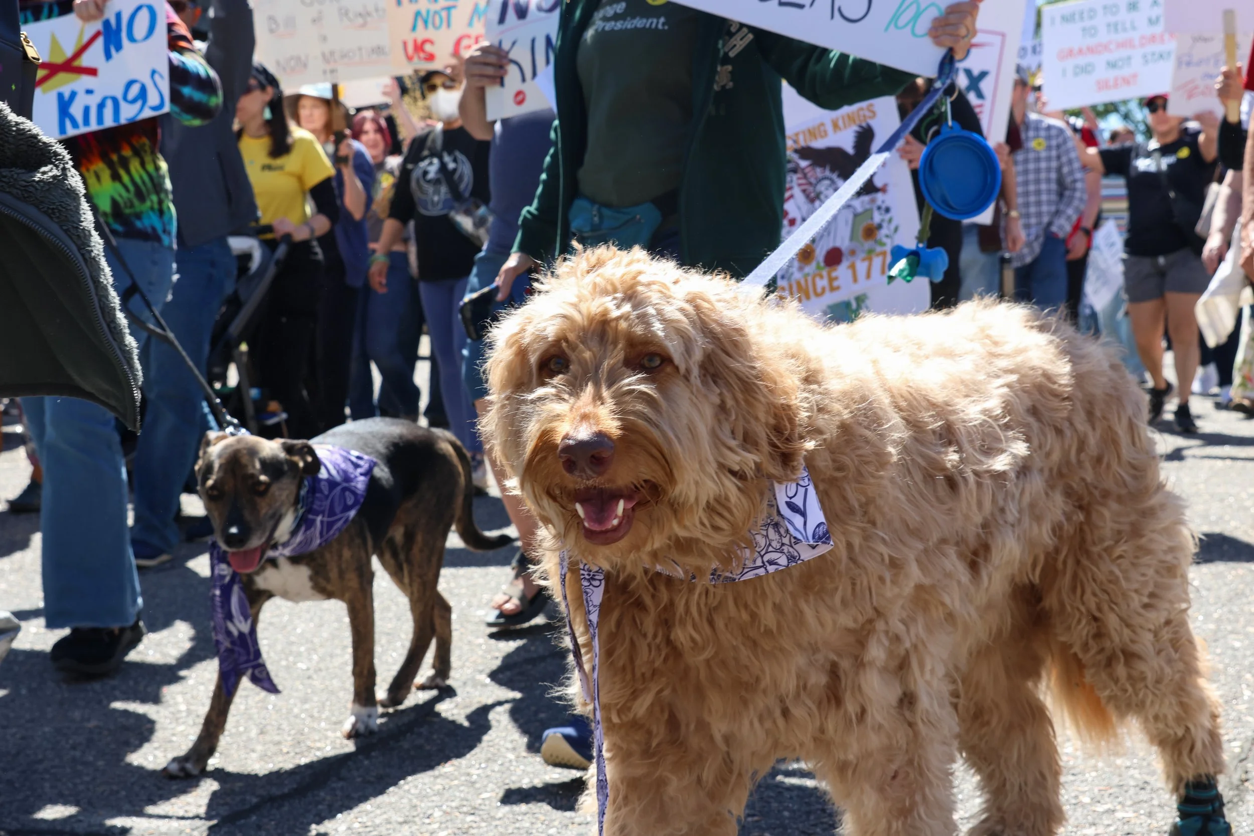 260328 Athens No Kings protests_722.jpg