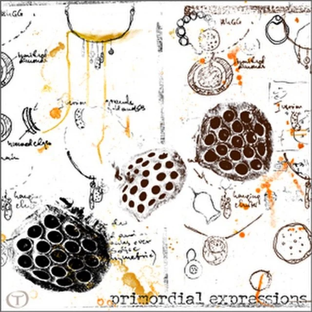 007C9167-6F15-4CD5-B3A0-19CF3F10FF91 2.JPG