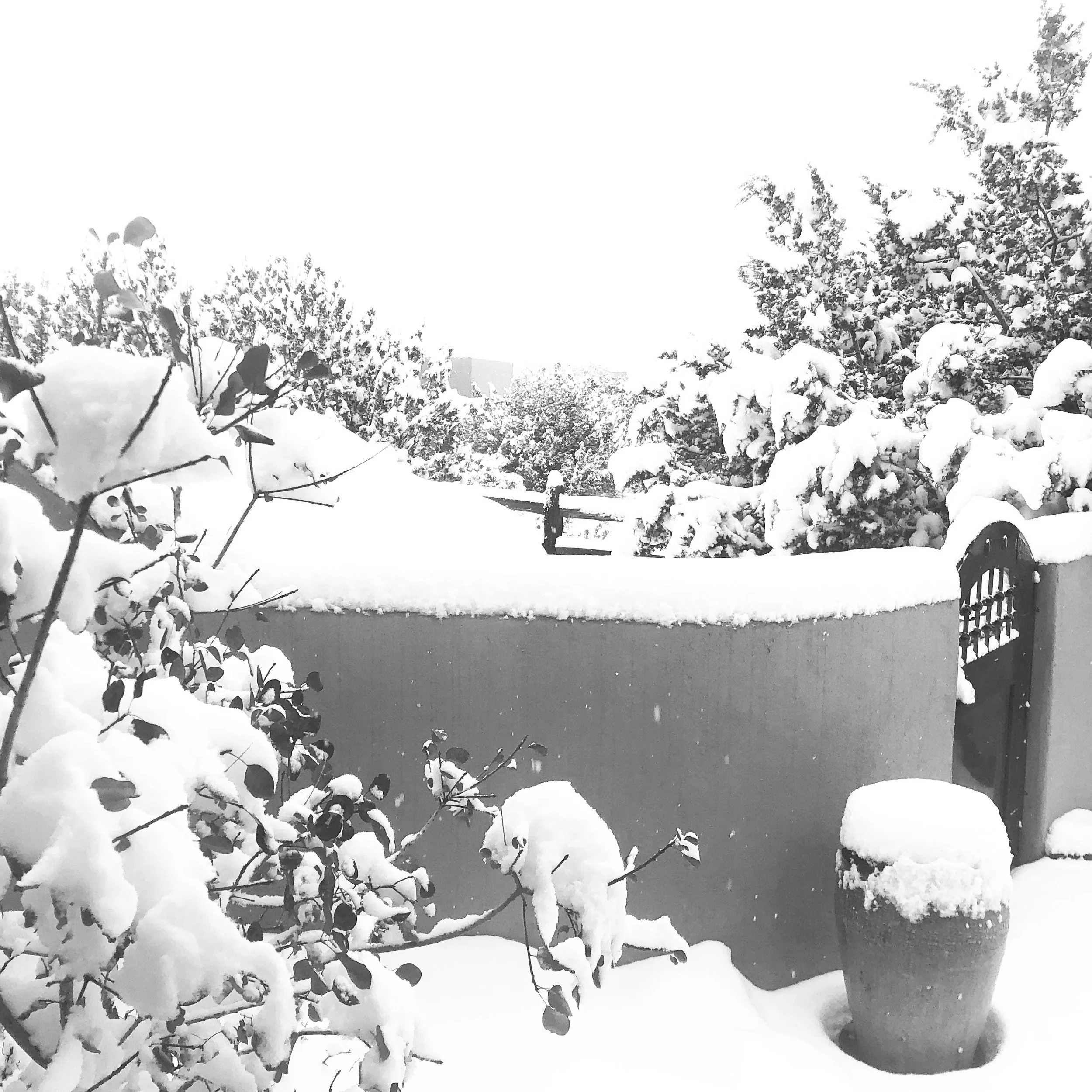 C78733B1-A91E-402D-8C2C-743CFA258D8E 2.JPG