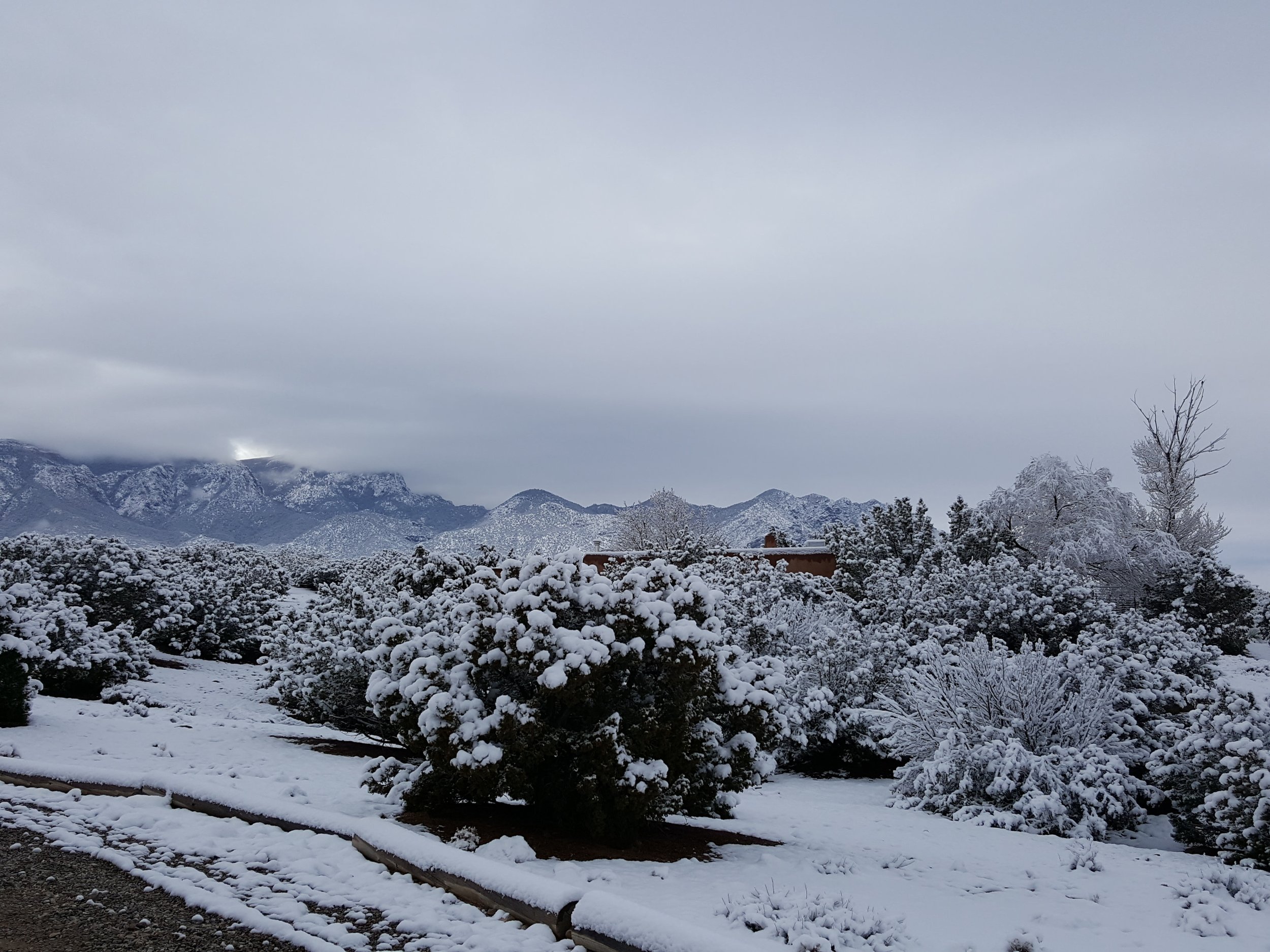 20170213_084041.jpg