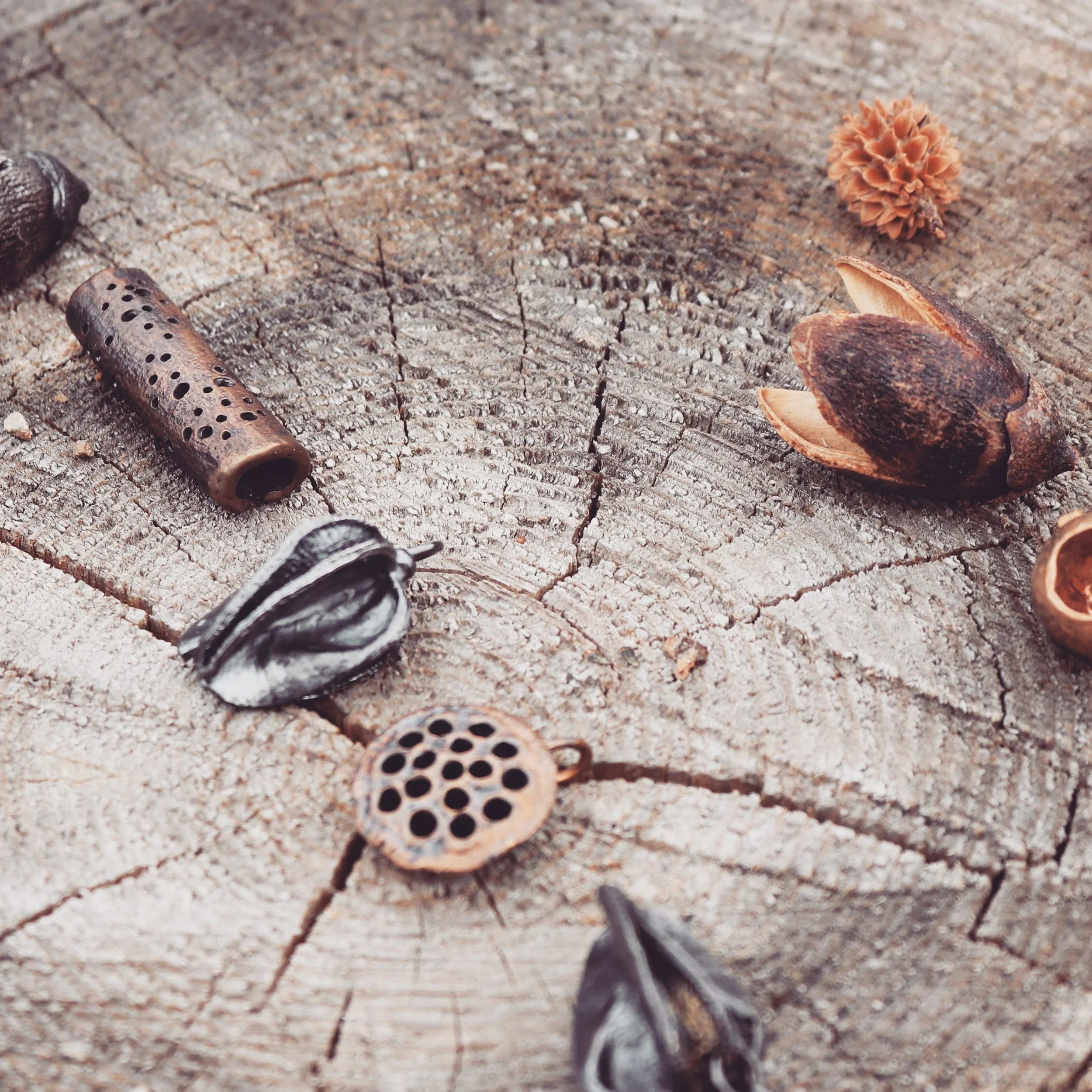 6C5C4C03-45A8-43AA-8D05-3B074CF8E348 2.JPG