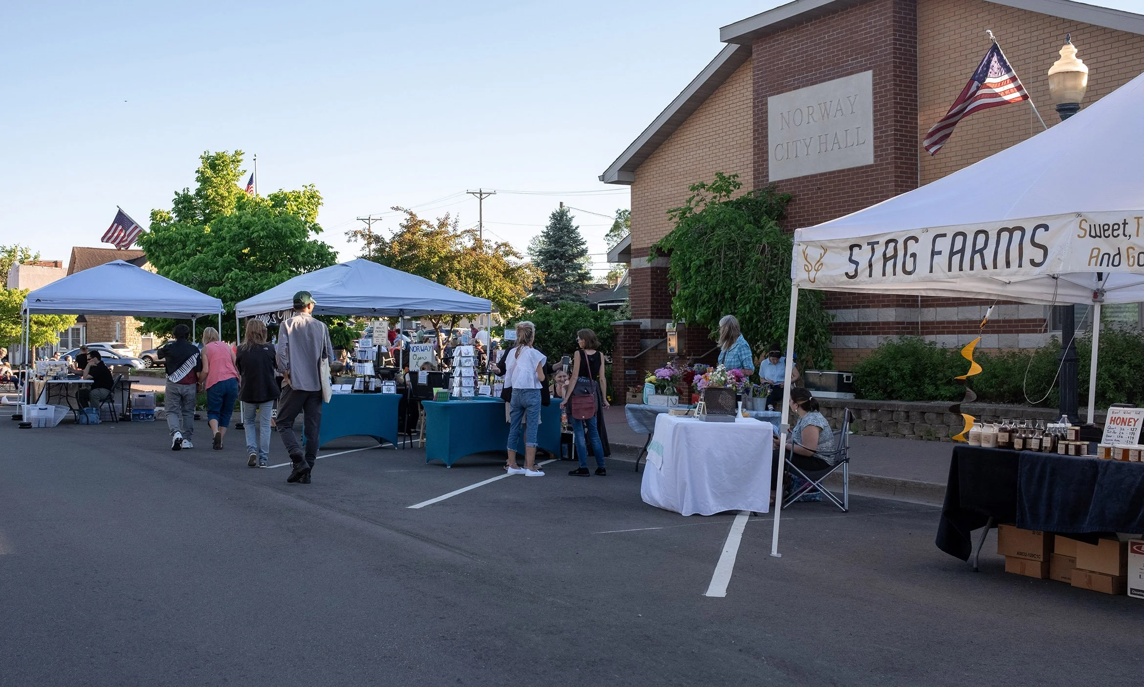 Open Air Market / Music in the Park: Next Myle