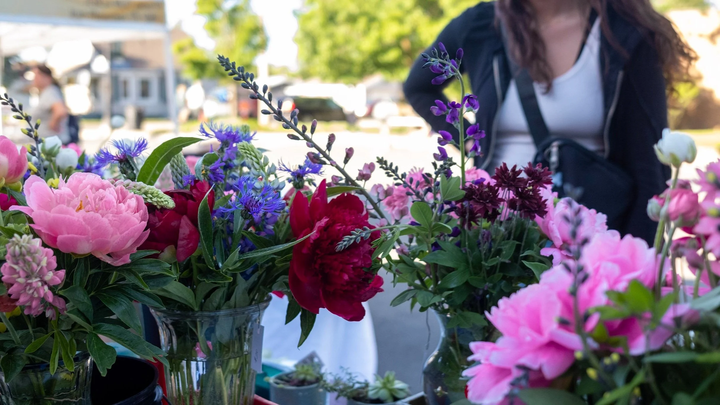 Open Air Market / Music in the Park: The Grand Design Band