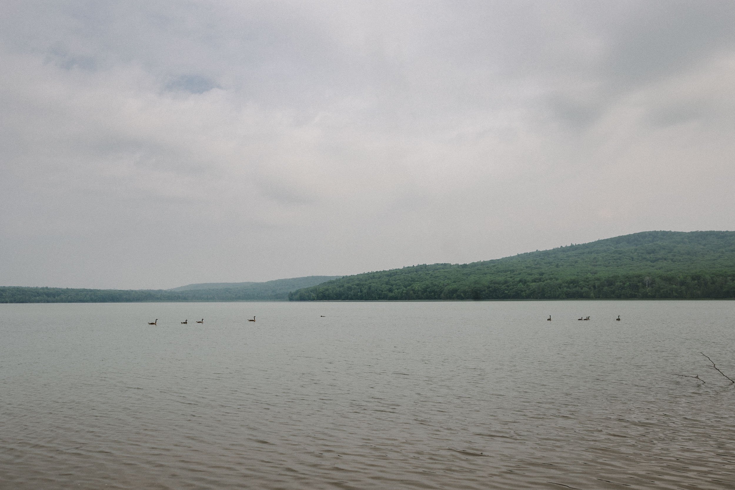 Big Fumee Lake with birds swimming