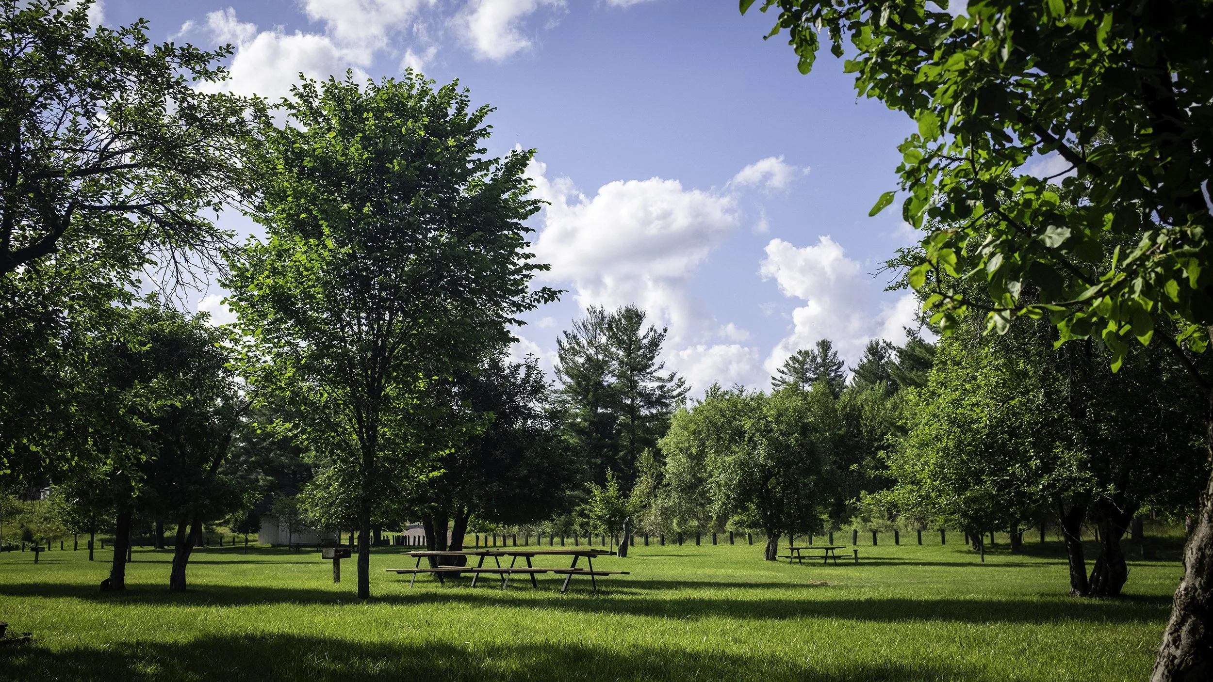Hanbury Park picnic area