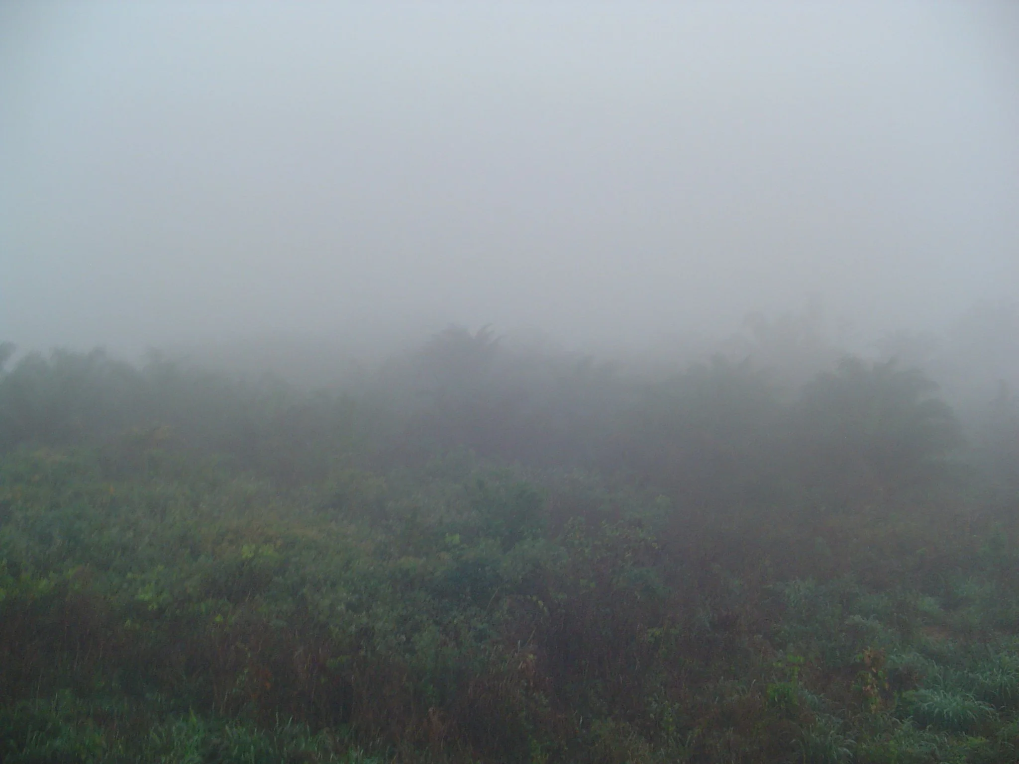 Aisosa-Still copy.JPG