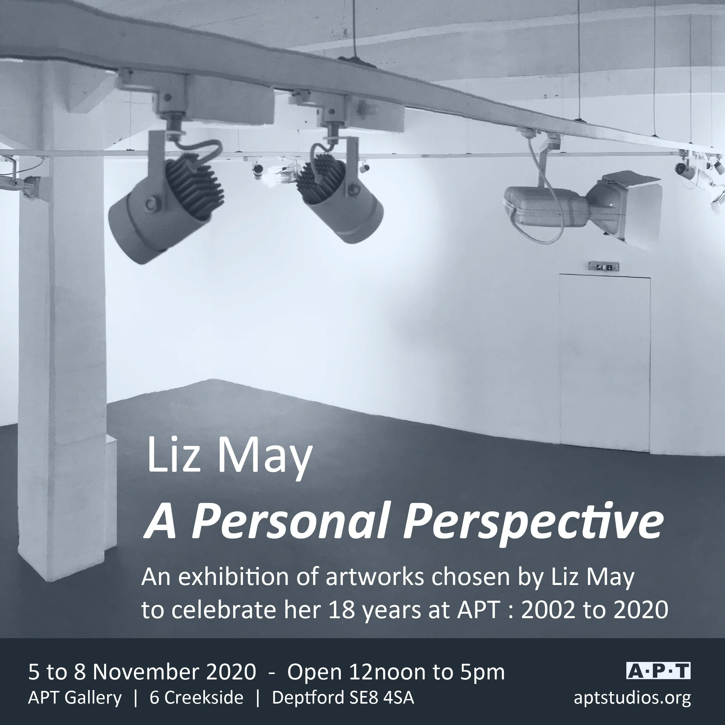 Liz May_A Personal Perspective_Card Nov 2020.jpg