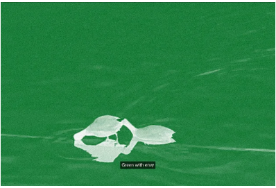 Soyoung Kim
Digital sensors surround us, how can we trust that they guarantee our convenience and safety? Somewhere between privacy, protection and invasion, the digital video and sound work ‘#00FF00’ (2023) shows a jarring green landscape. Green pol