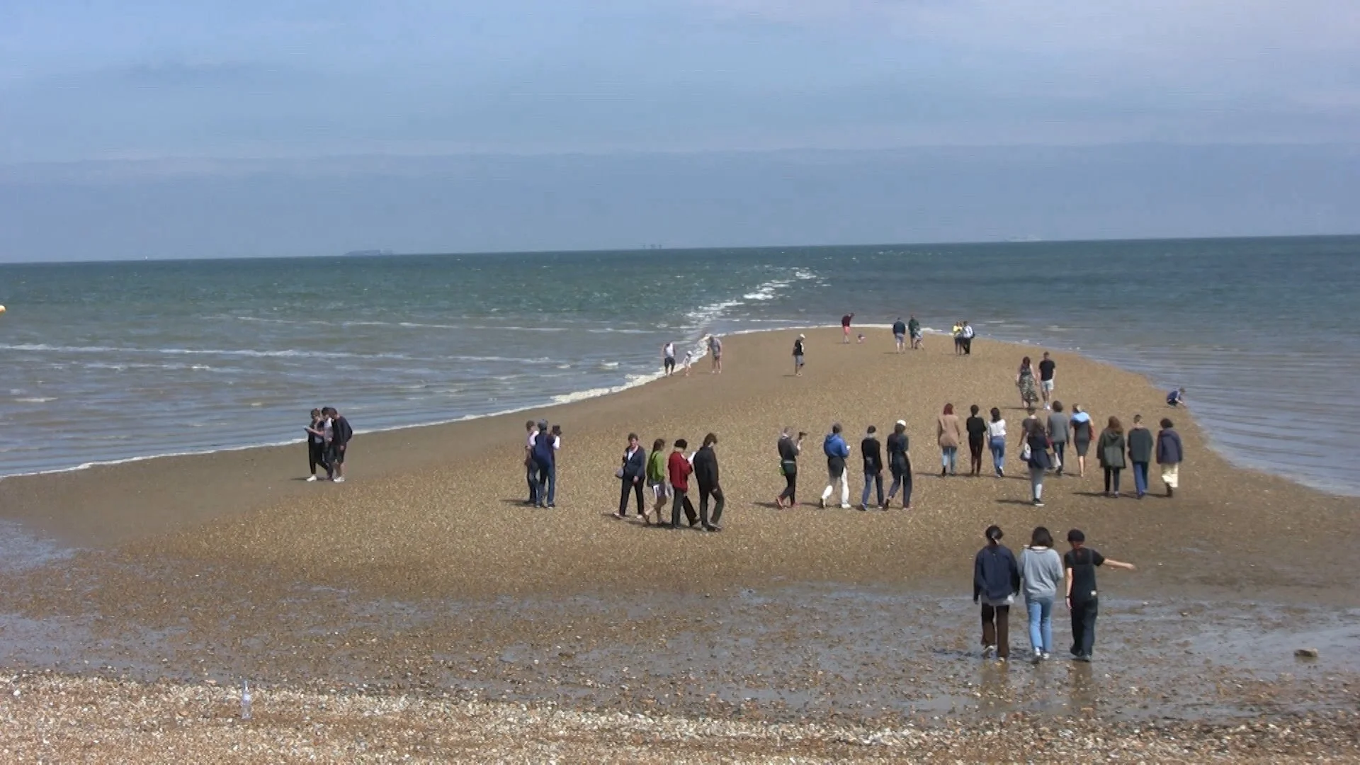 3_[these roarers].jpeg