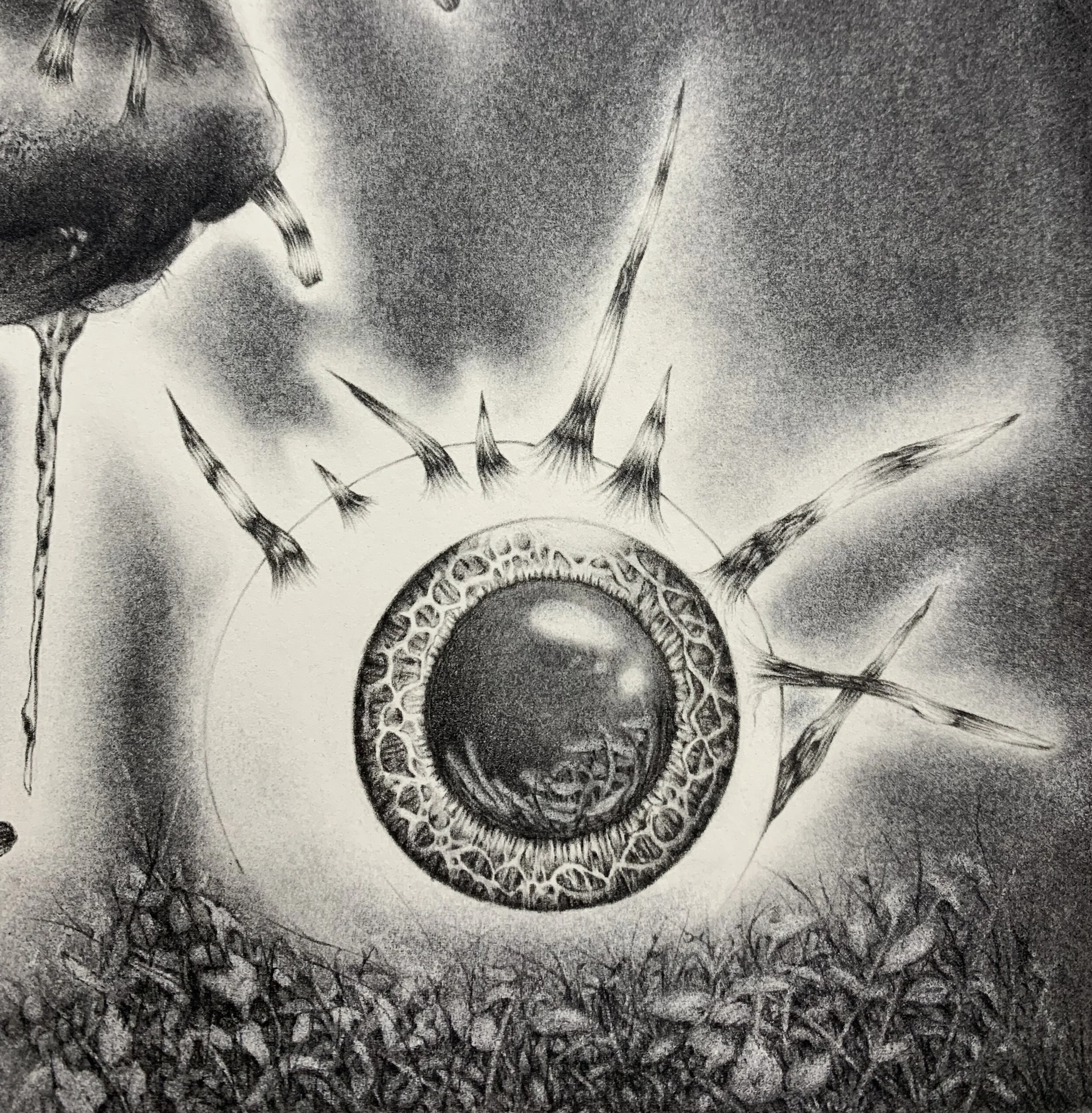 lead image by Mary Furniss.jpg