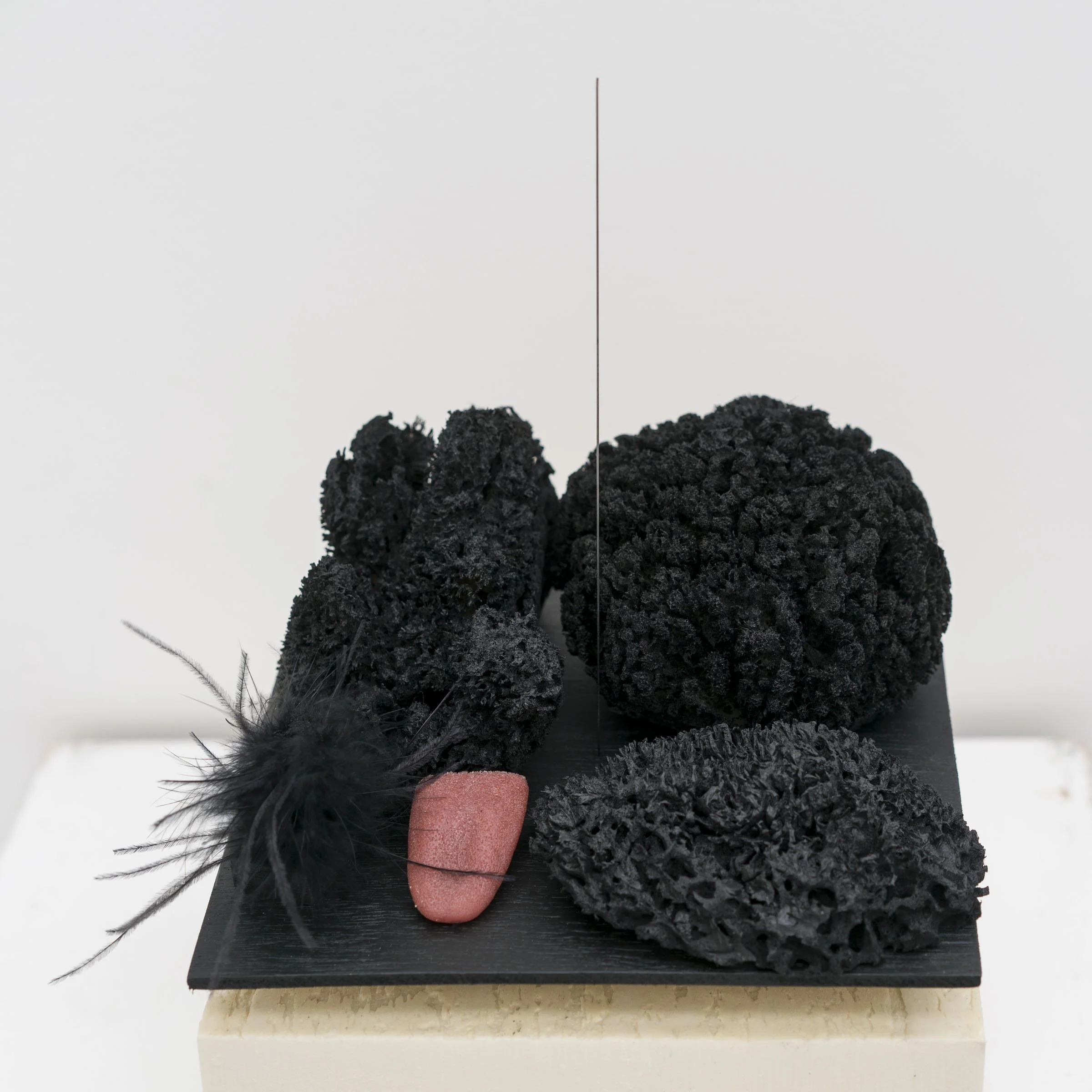 M_Chris Marshall DSC08903.jpg