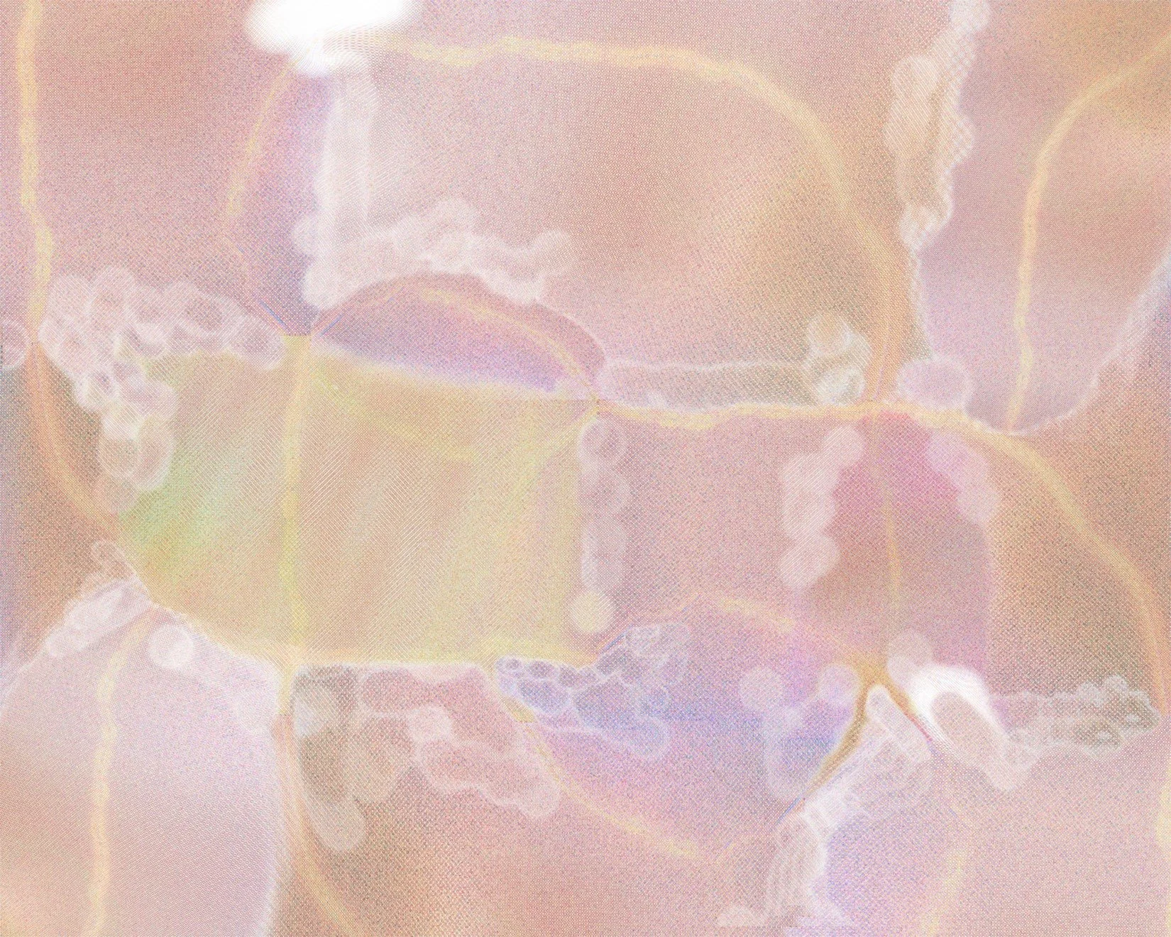 Lead Image Muchen Li (MA Fine Art Photography).jpg