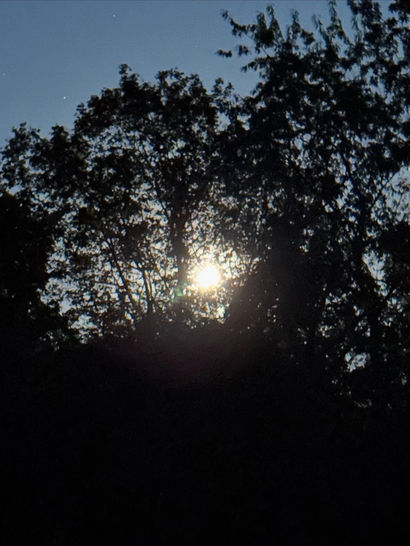 Pisces Full Moon, Lunar Eclipse 

Kojun and I just guided a group of beautiful humans in an amazing yoga and sound bath, in honor of the sacred pause that the lunar eclipse invites us into. Moving with Ease and relaxing the mind, we opened space to r