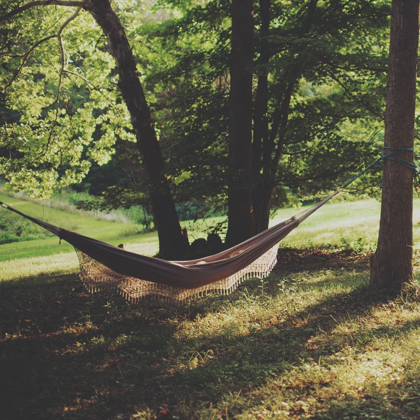 New Blog Post &quot;Our Sacred Rhythm Includes Rest&quot;

In a world that profits from your exhaustion, rest becomes revolutionary 🌟

Picture this: autumn leaves falling in perfect surrender, teaching us that release is not giving up&mdash;it's fil