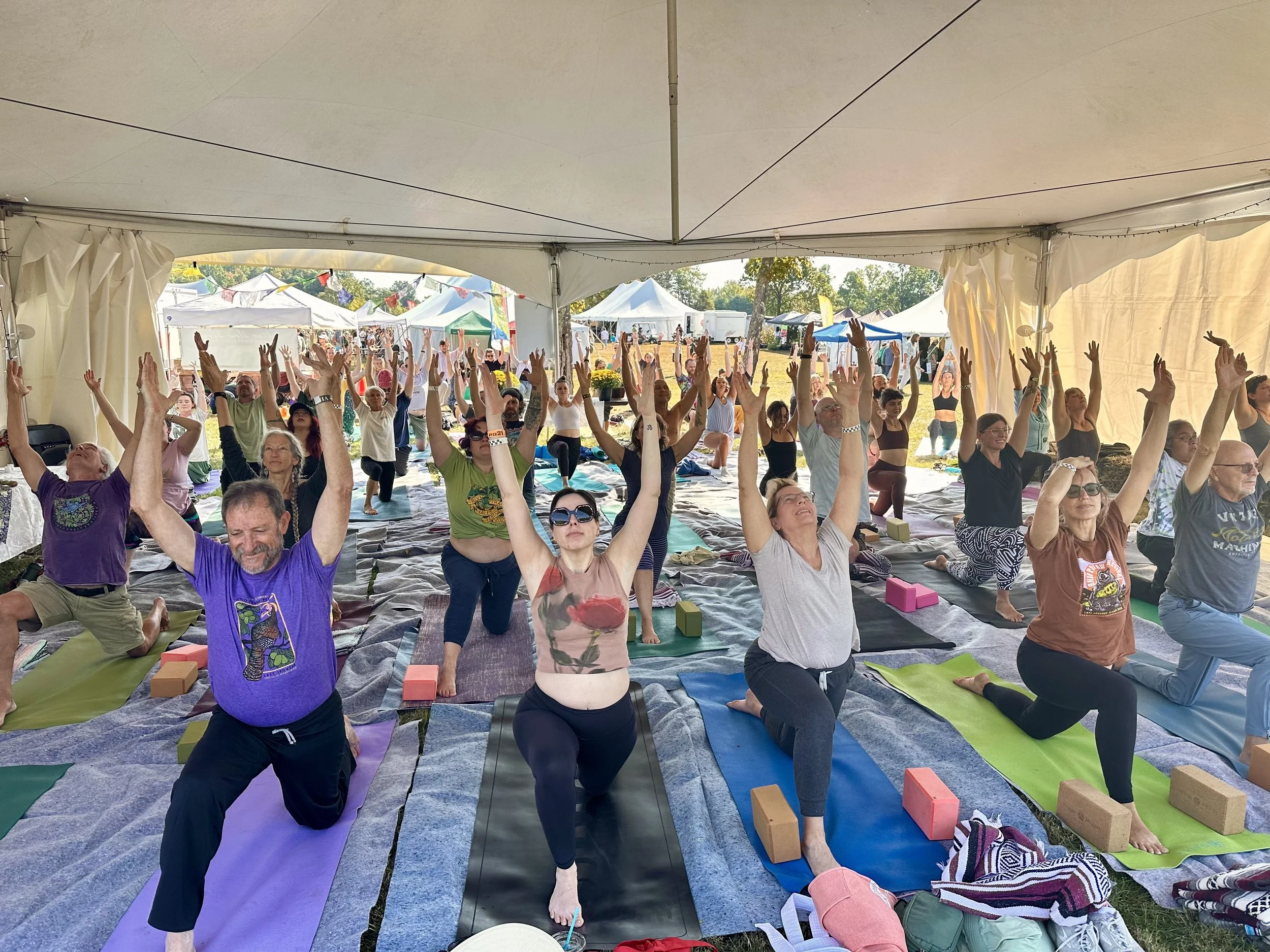 Ohio Pawpaw Festival - Holistic Wellness Tent -Yoga, Meditation, Mindful Outdoor Experience, Sound Bath, and more! 