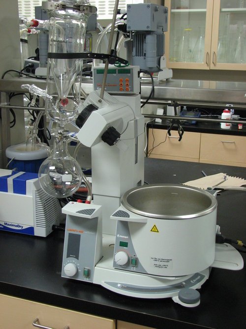 lab2.jpg