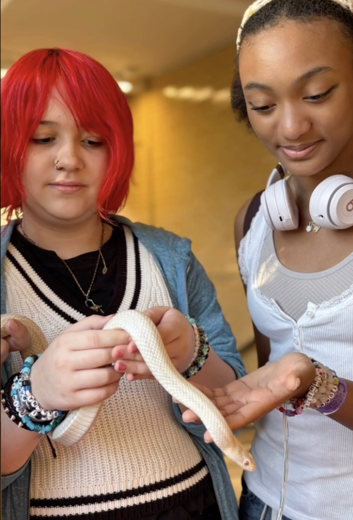 Screenshot 2025-10-14 at 11.30.27 PM.png