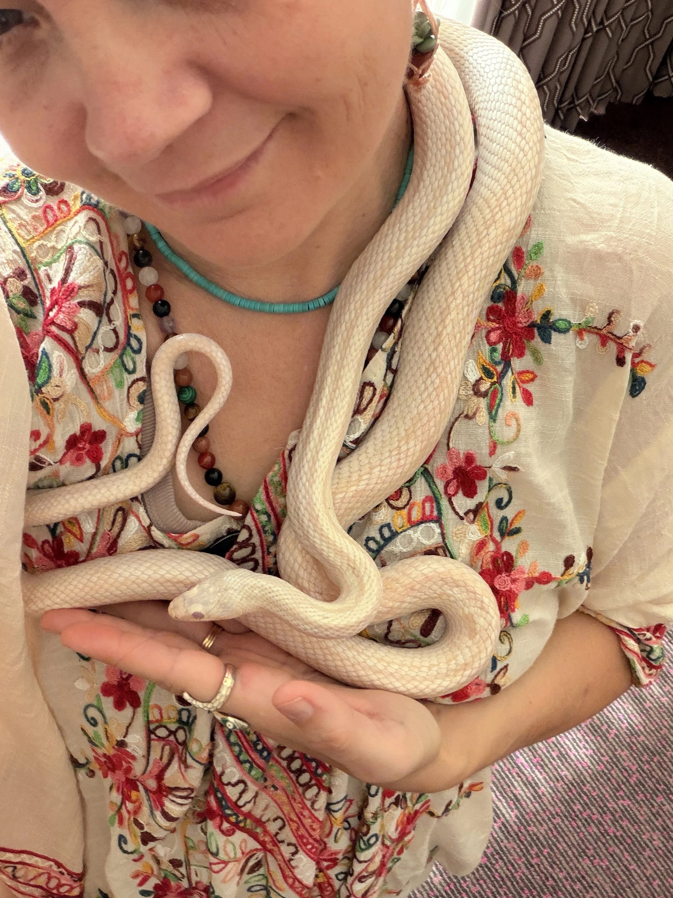 Full Moon Serpent Heart Integration