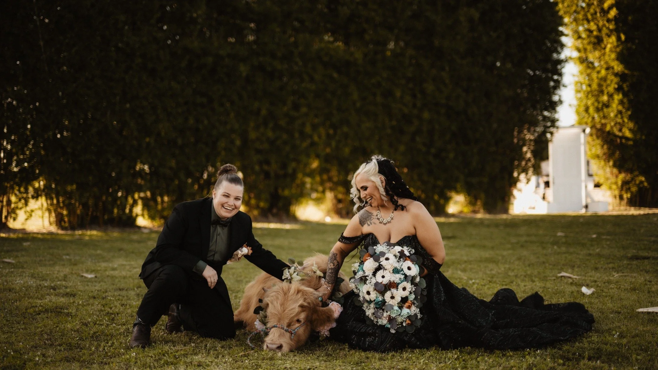 If you don&rsquo;t have a miniature Highland cow at your wedding... we might cry a little. Just kidding. But honestly, 10 out of 10 recommend adding a tiny cow to your guest list. 🐮